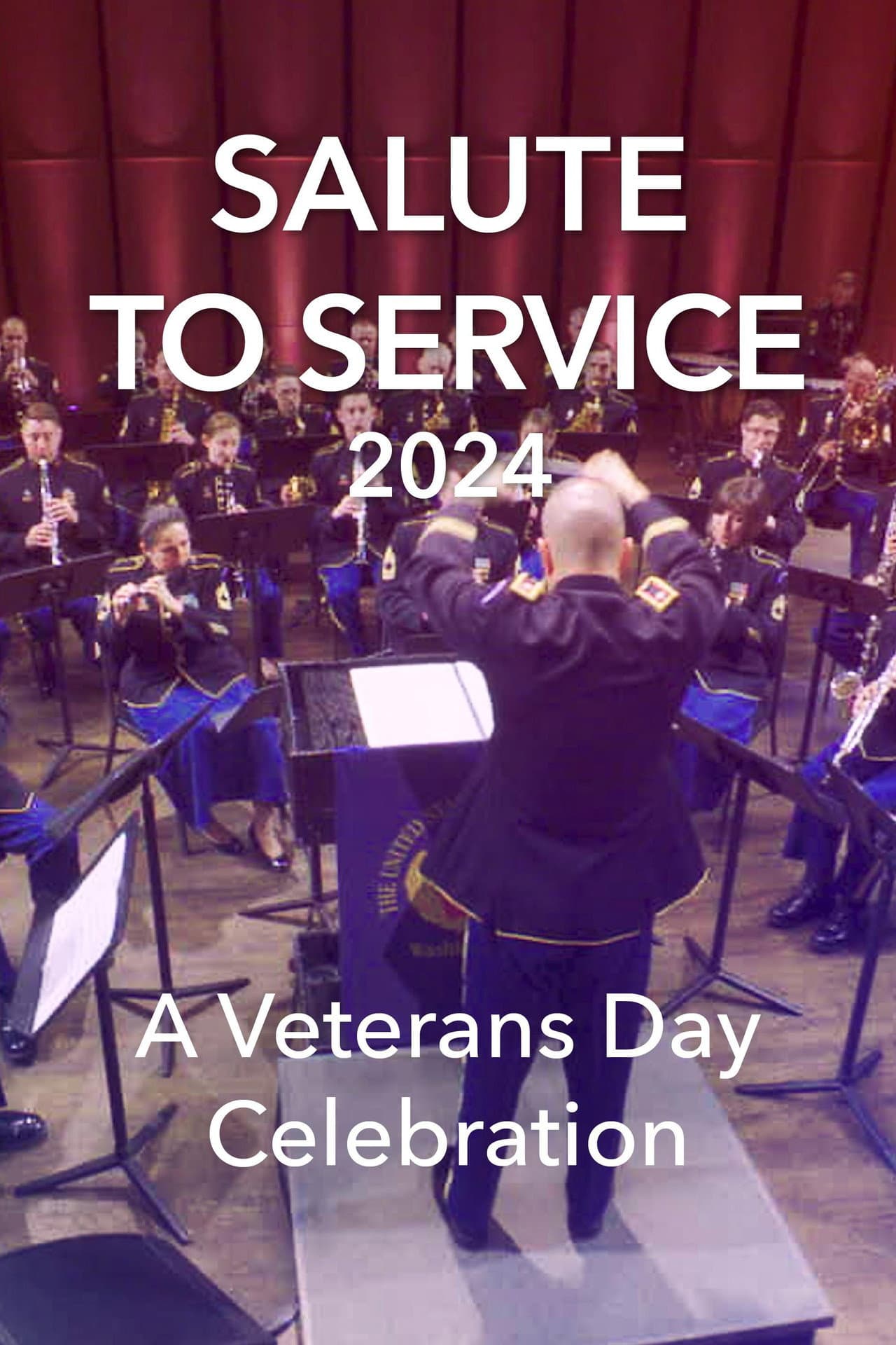 Salute to Service 2024: A Veterans Day Celebration preview 1