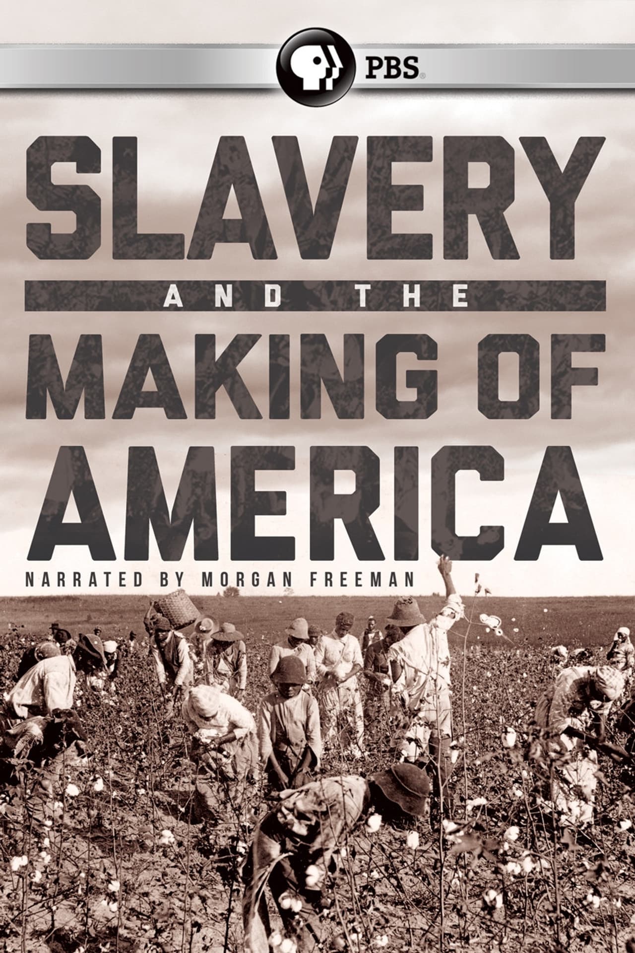 Slavery and the Making of America preview 2