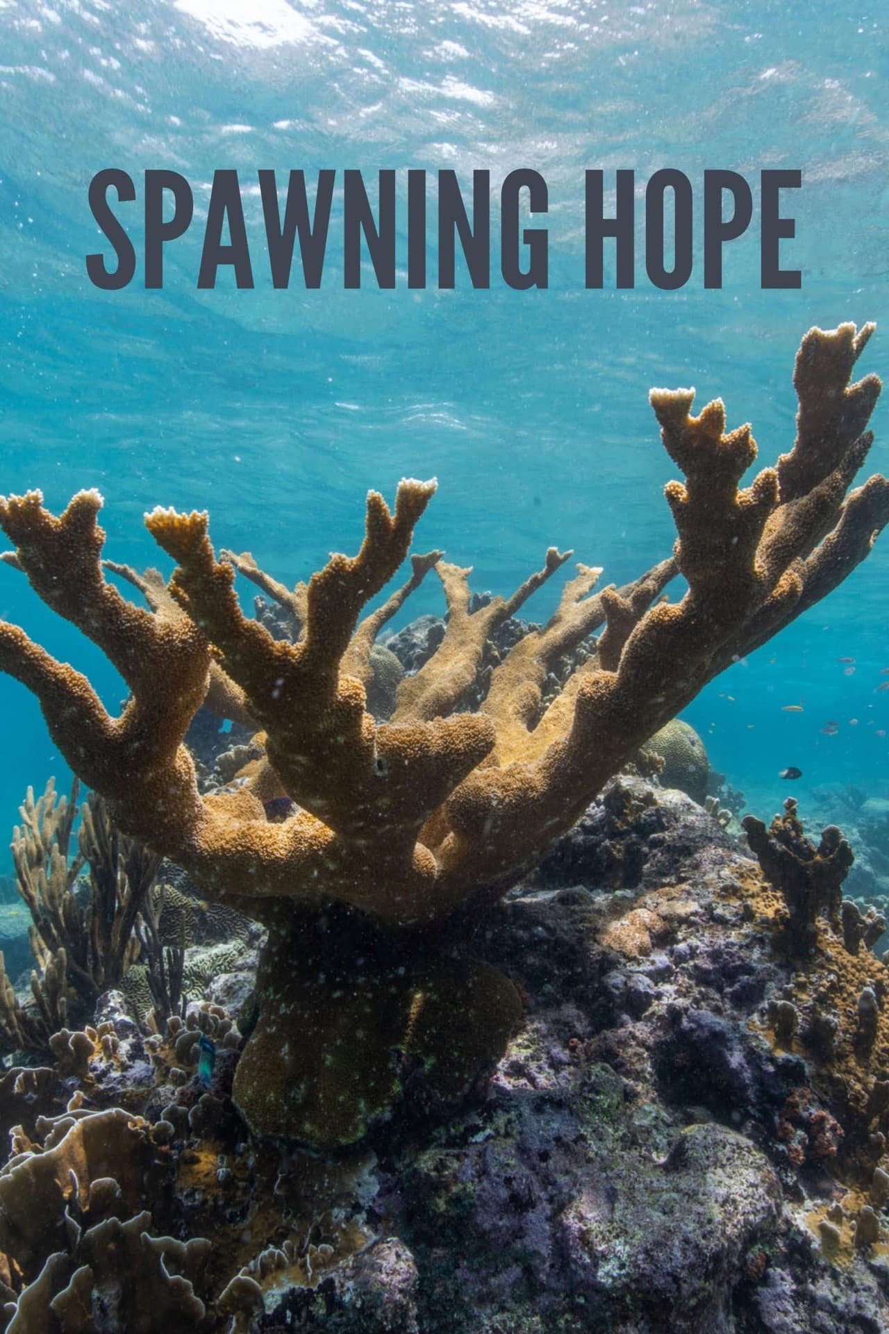 Spawning Hope preview 1