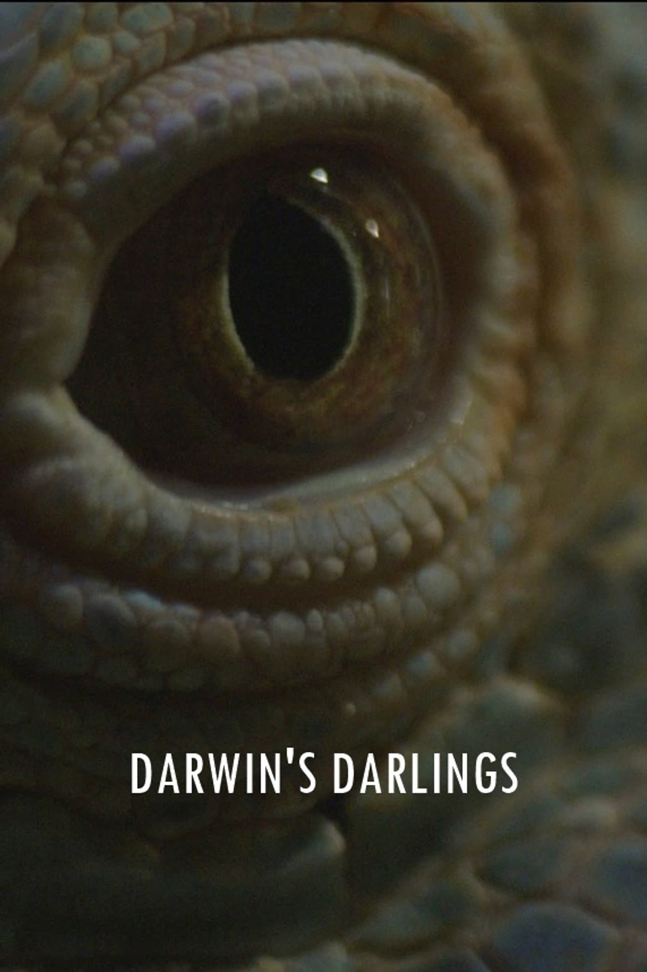 Darwin's Darlings preview 2