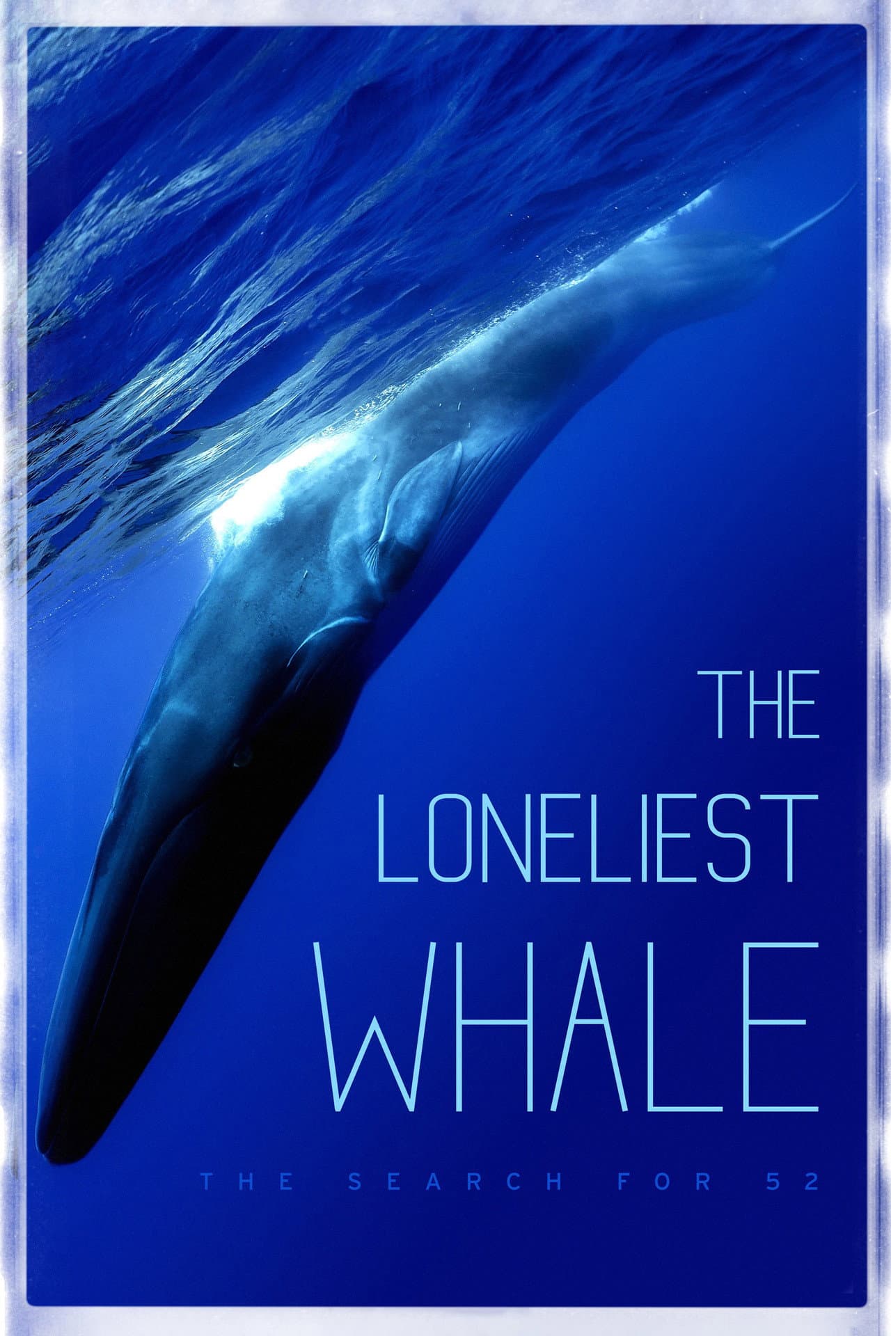 The Loneliest Whale: The Search for 52 preview 2
