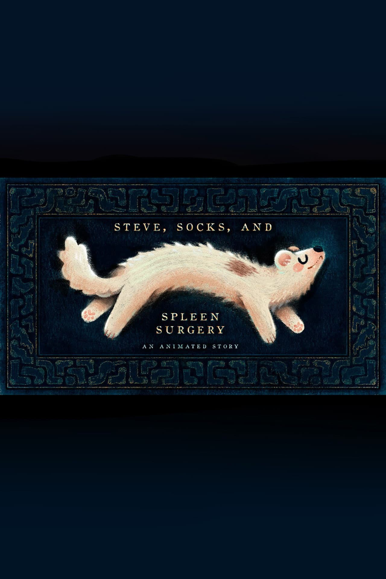 Steve, Socks, and Spleen Surgery preview 2