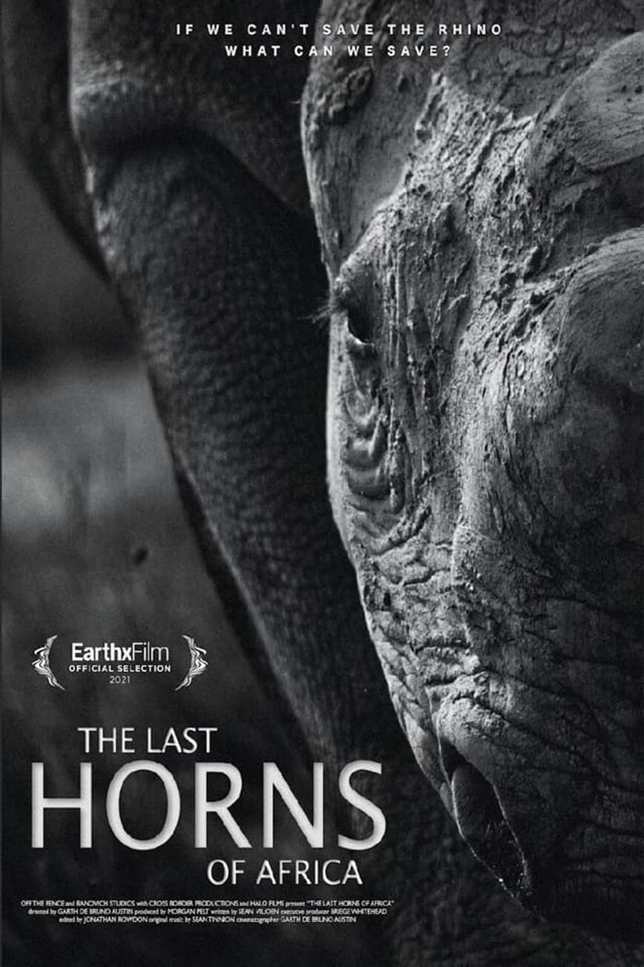 The Last Horns Of Africa preview 2