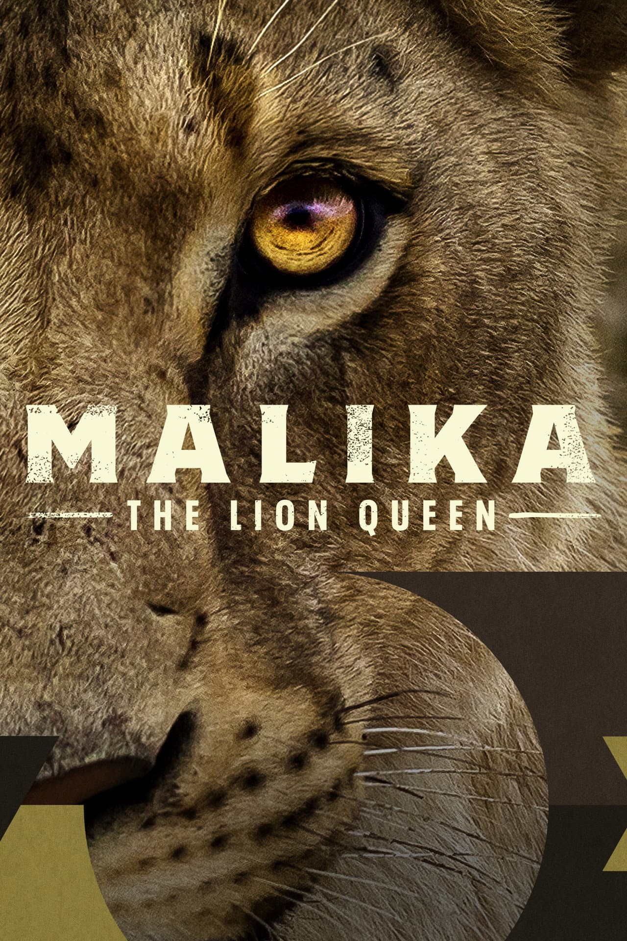 Malika the Lion Queen preview 2