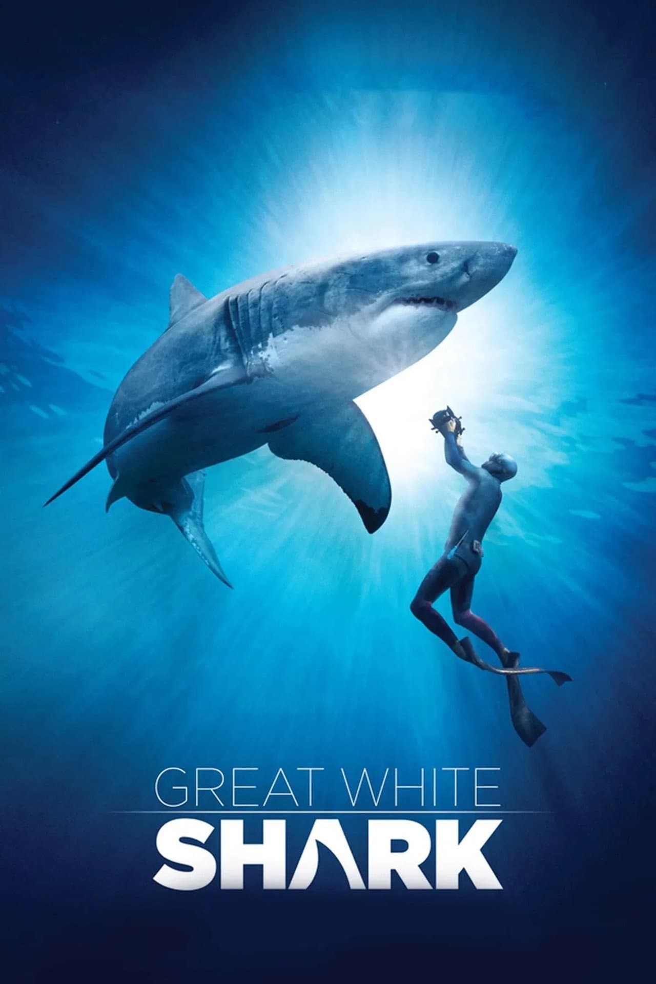 Great White Shark preview 2