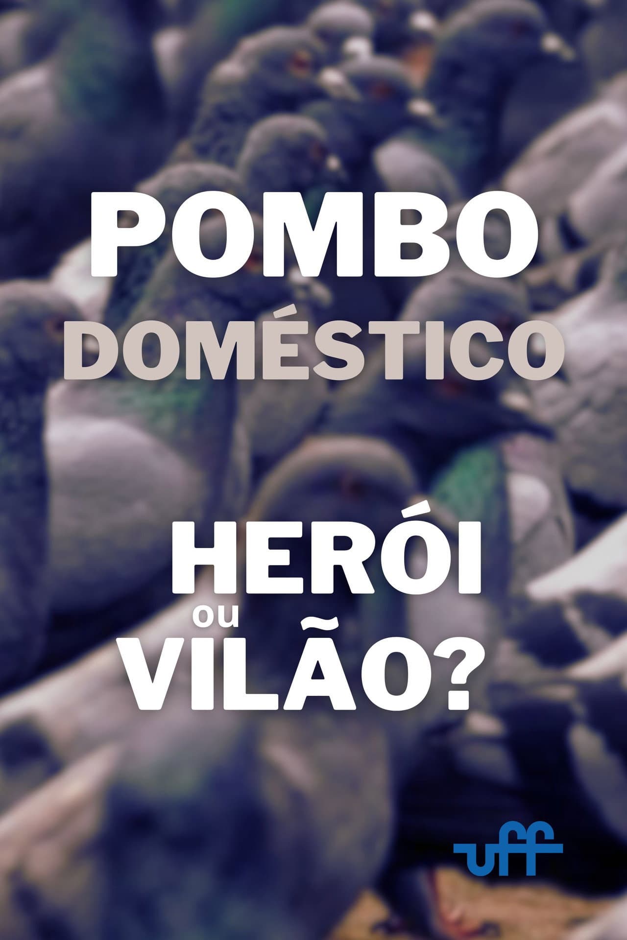 Pombo Doméstico: Herói ou Vilão? preview 2
