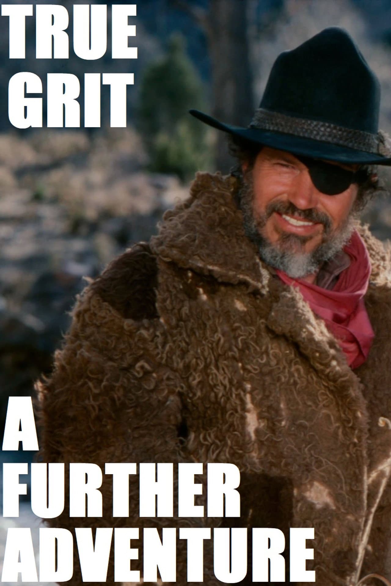 True Grit: A Further Adventure preview 2