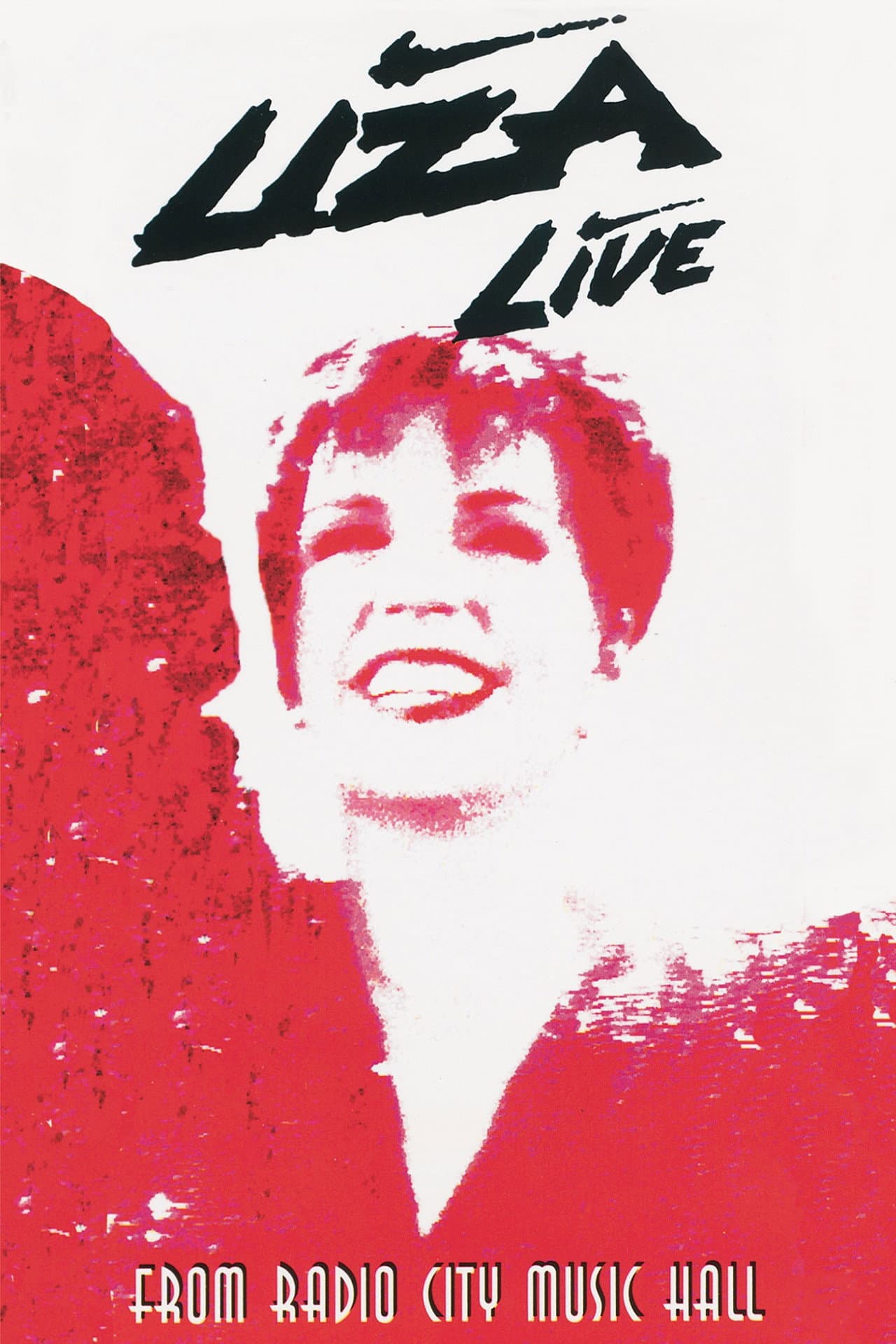 Liza Minnelli - Live from Radio City Music Hall preview 2