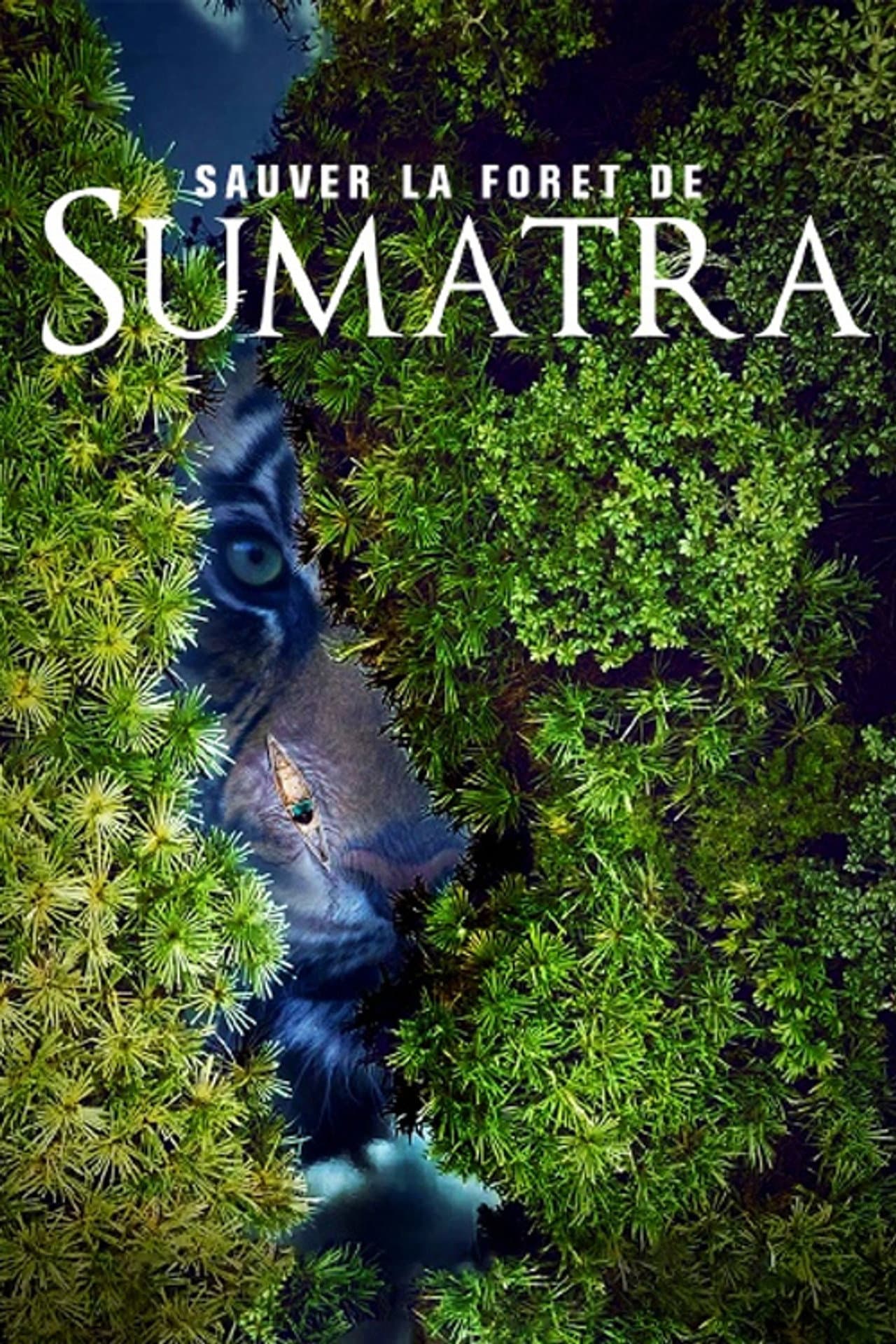 Save the Sumatran Forest preview 2