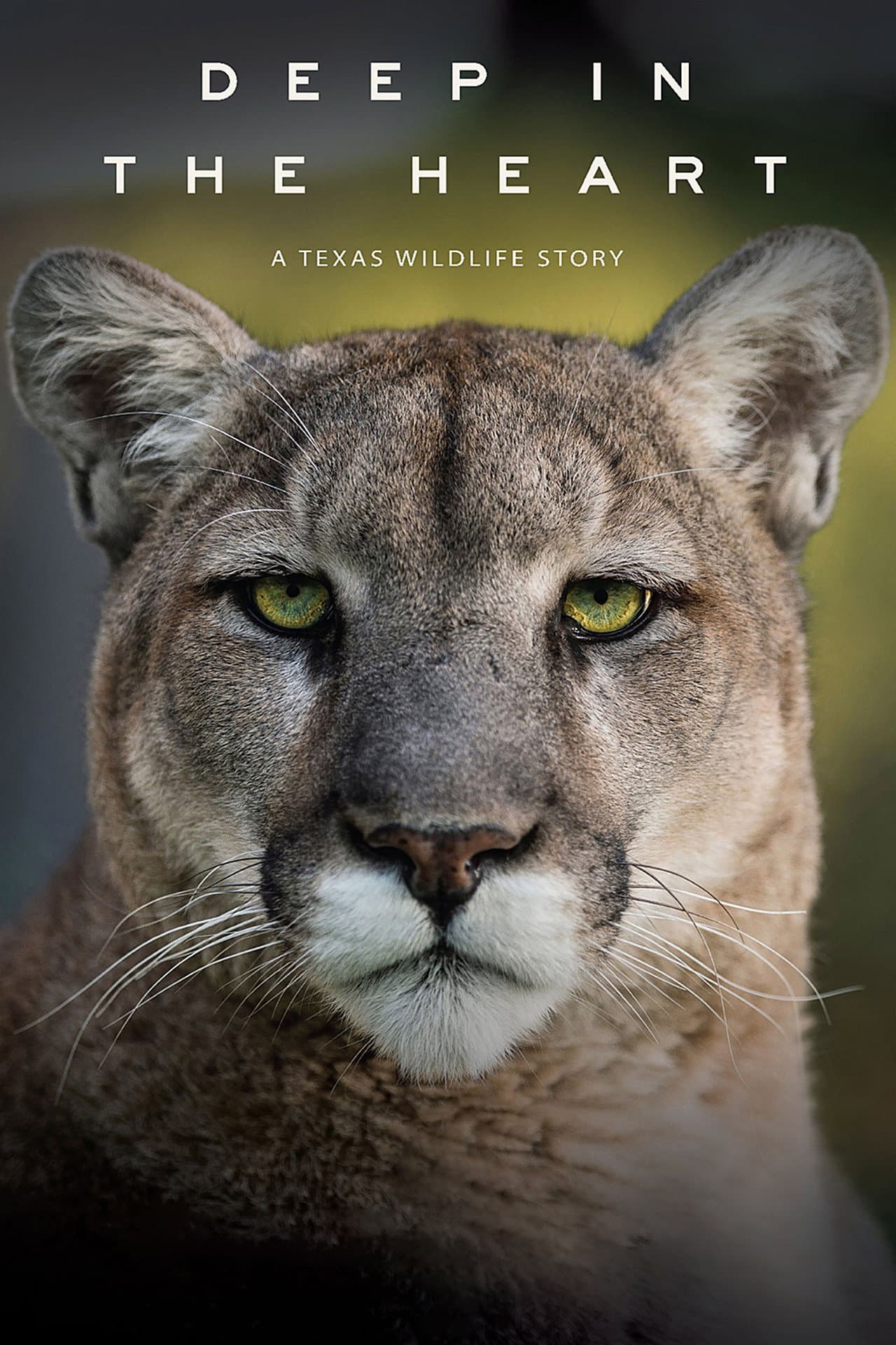 Deep in the Heart: A Texas Wildlife Story preview 2