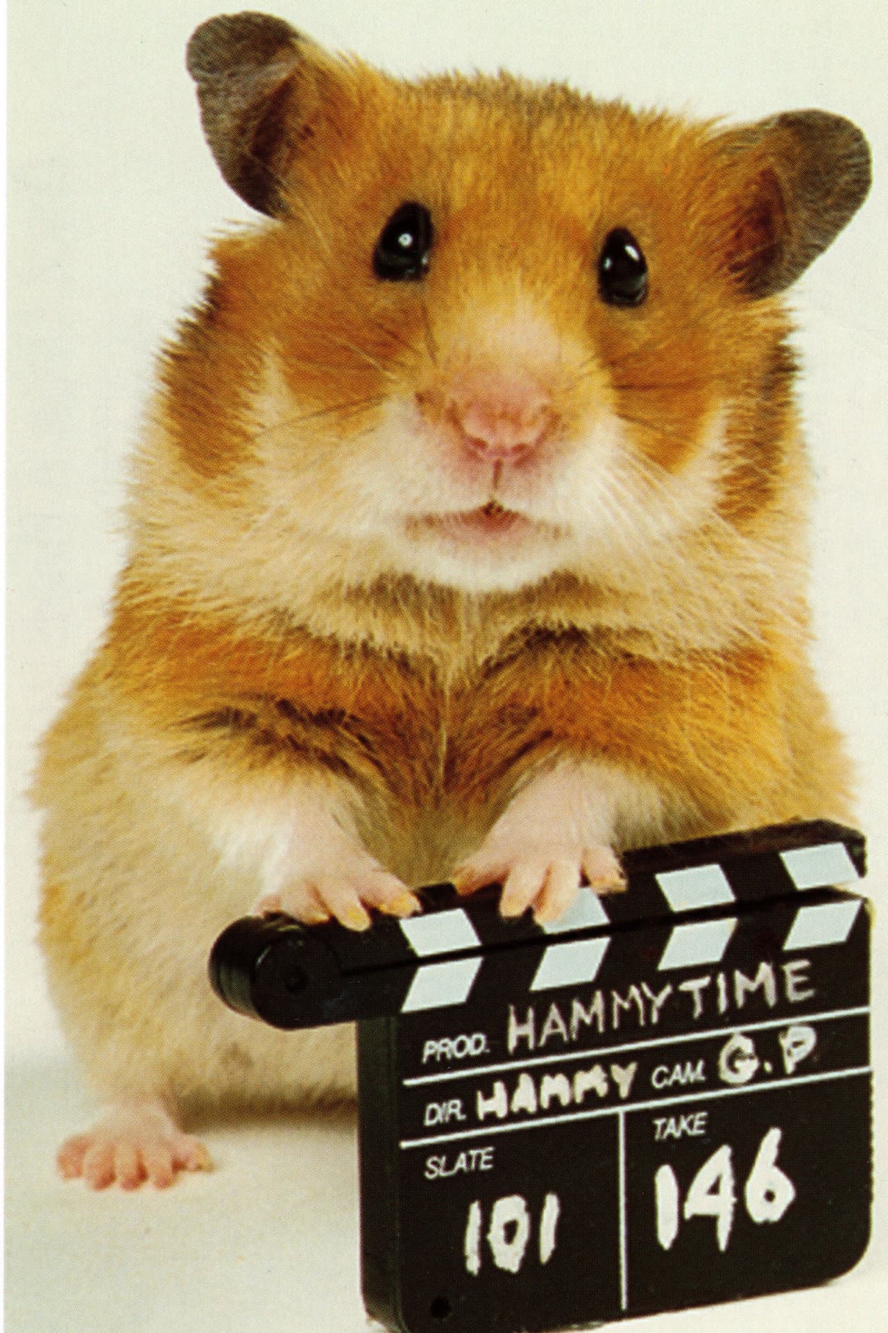 Once Upon a Hamster preview 2