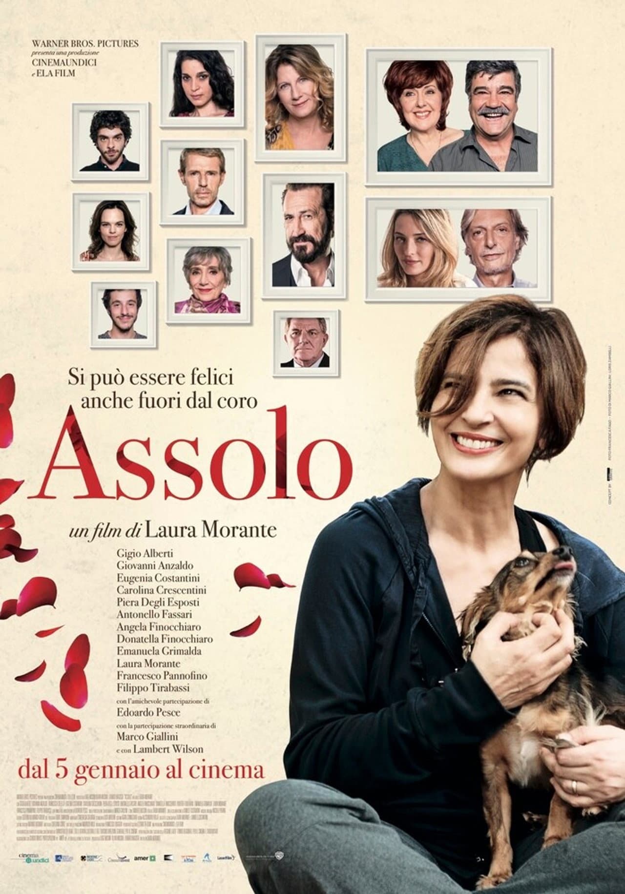 Assolo preview 2