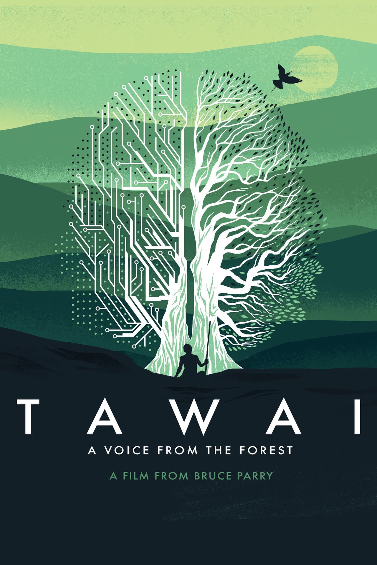 Tawai: A Voice from the Forest preview 2