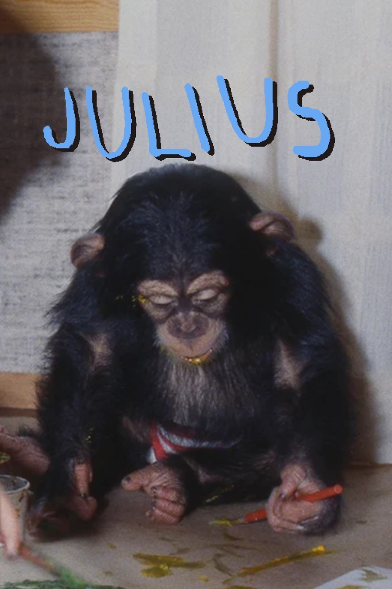 Julius preview 2