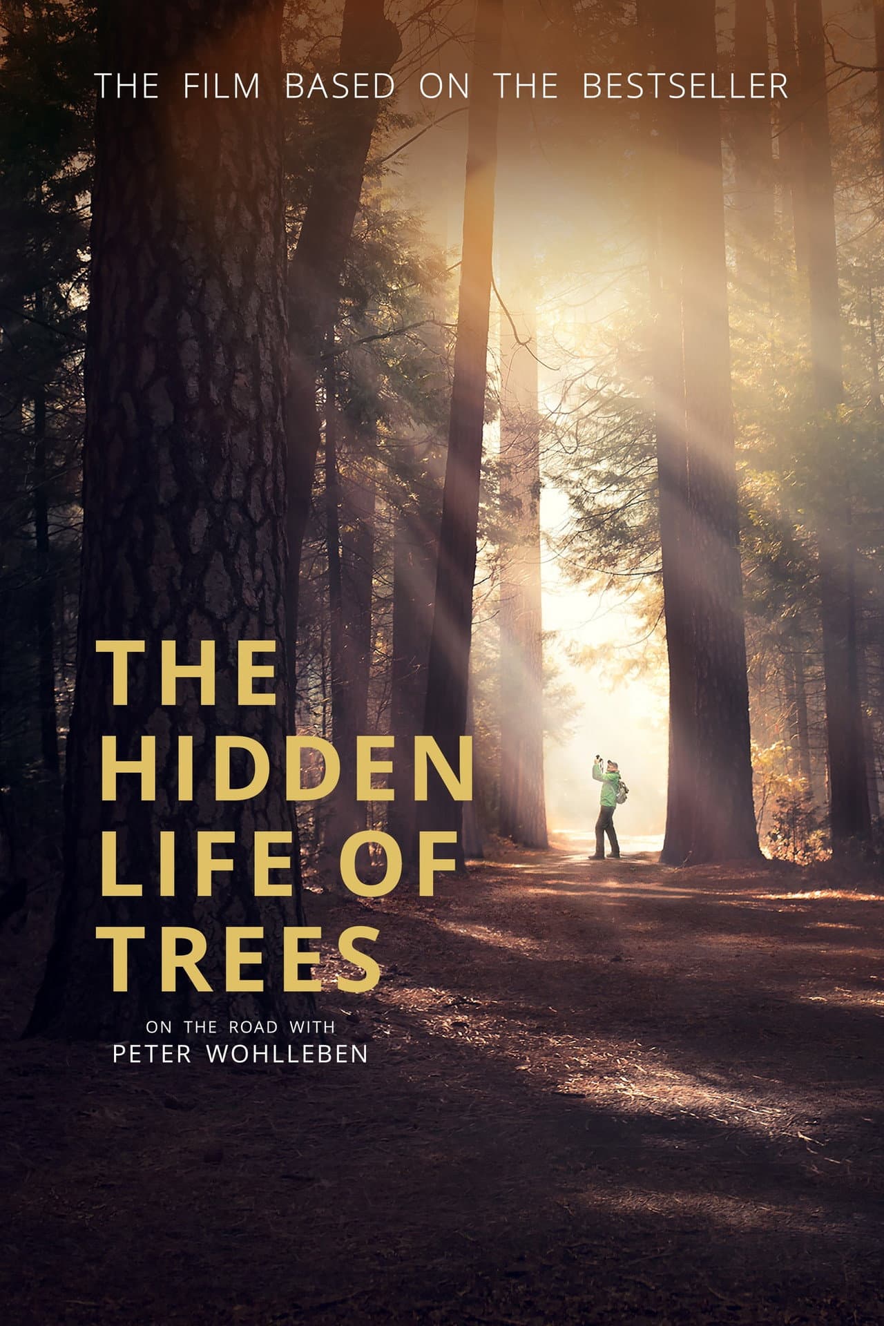 The Hidden Life of Trees preview 2