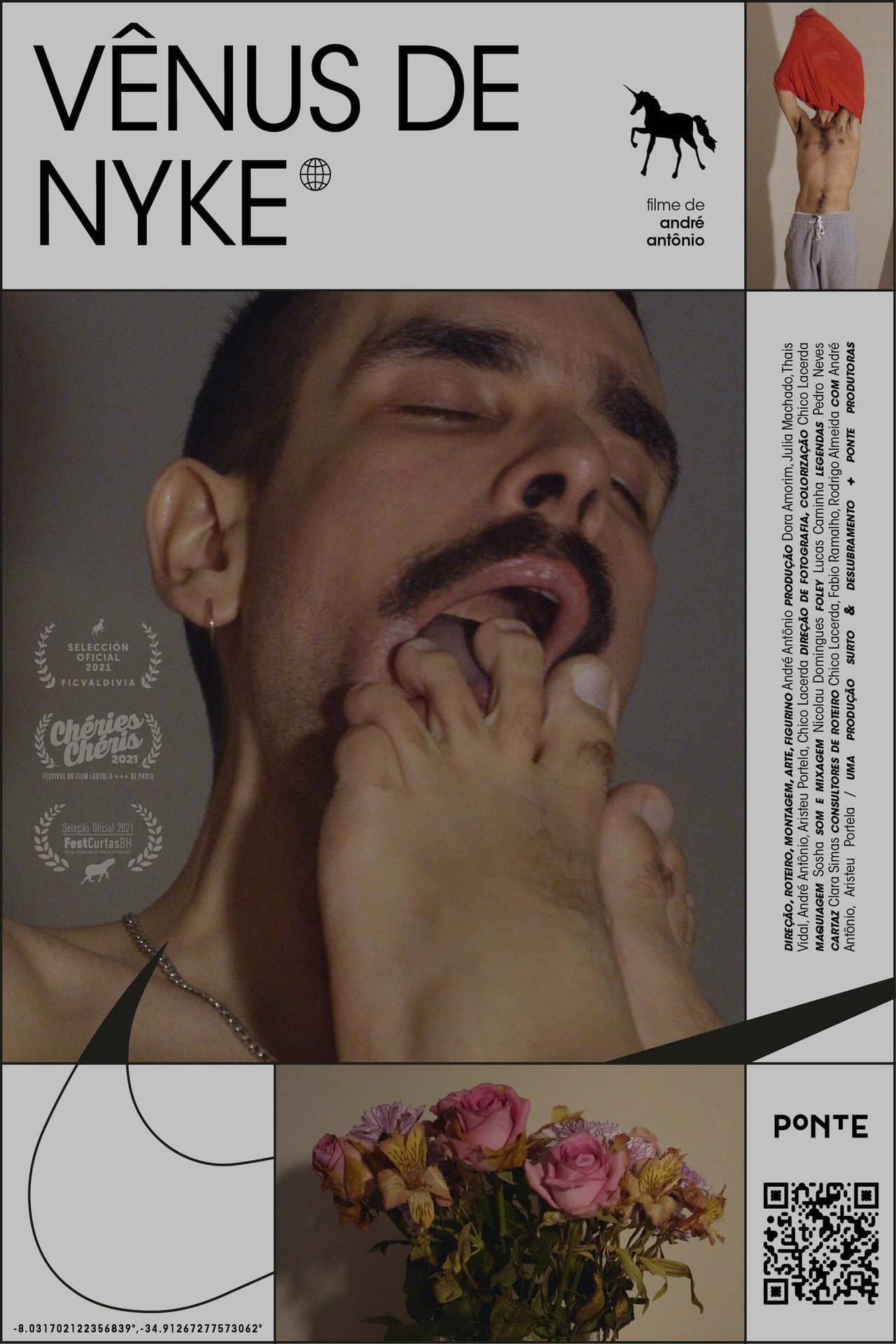 Venus in Nykes preview 2