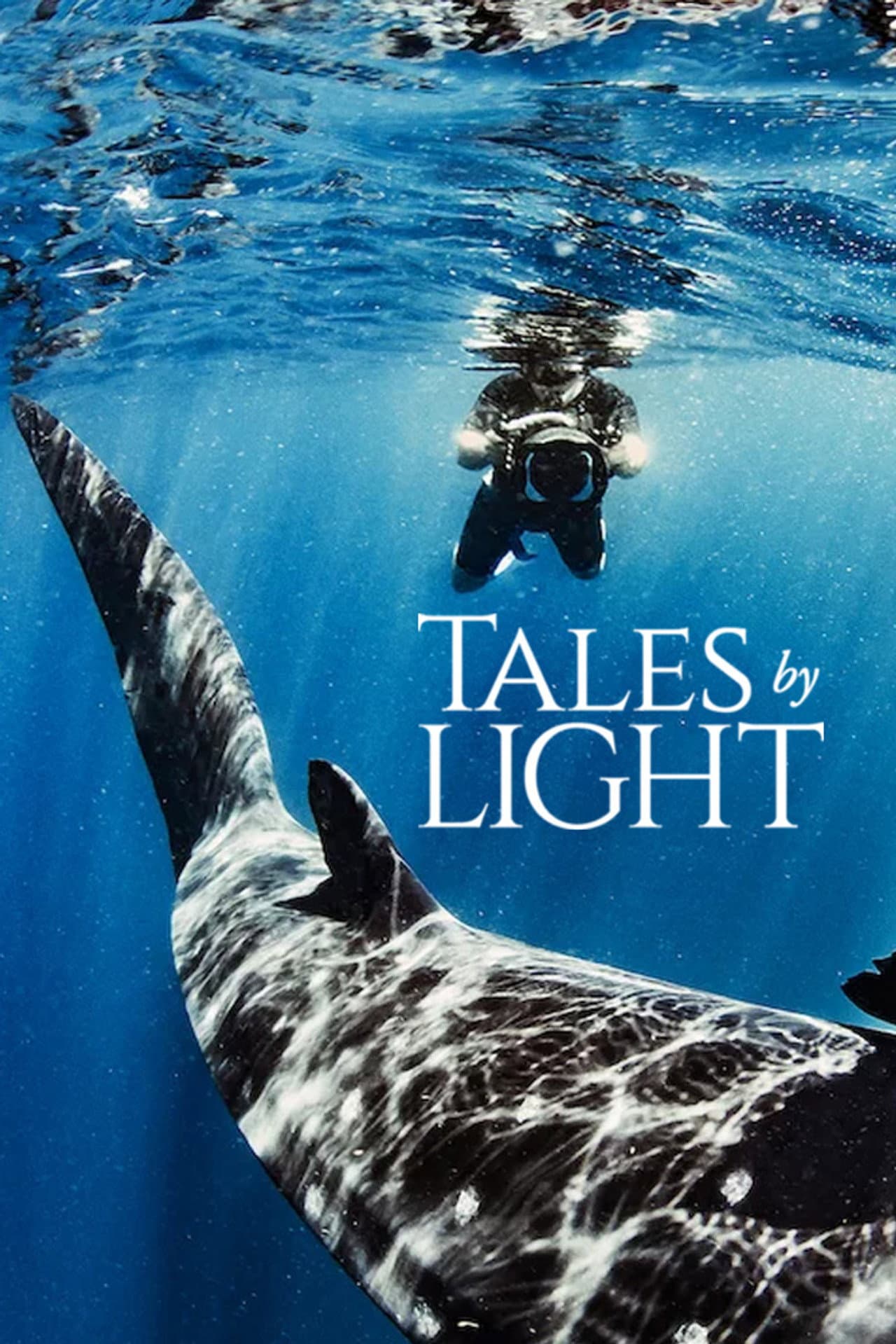 Tales by Light preview 2