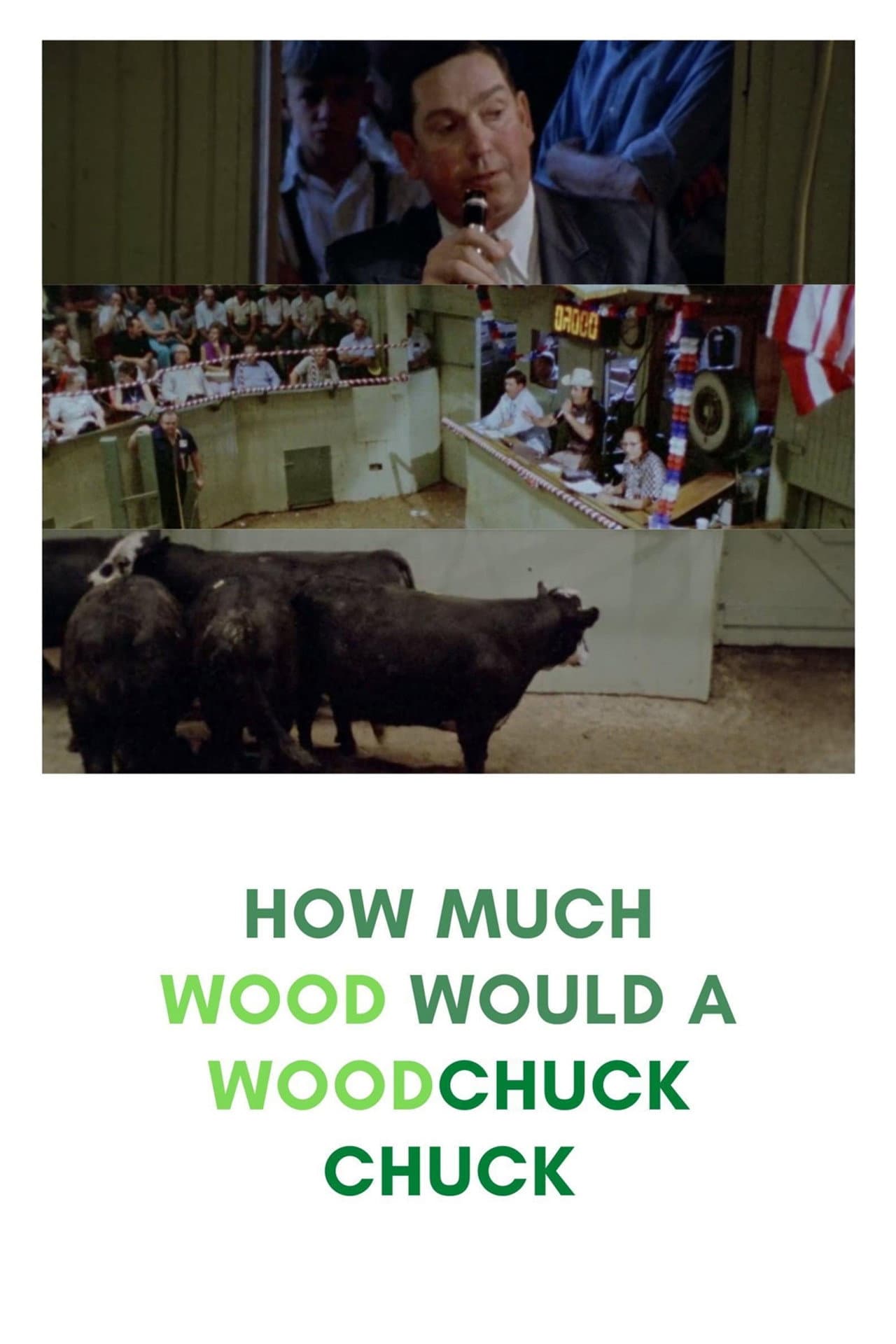 How Much Wood Would a Woodchuck Chuck preview 2