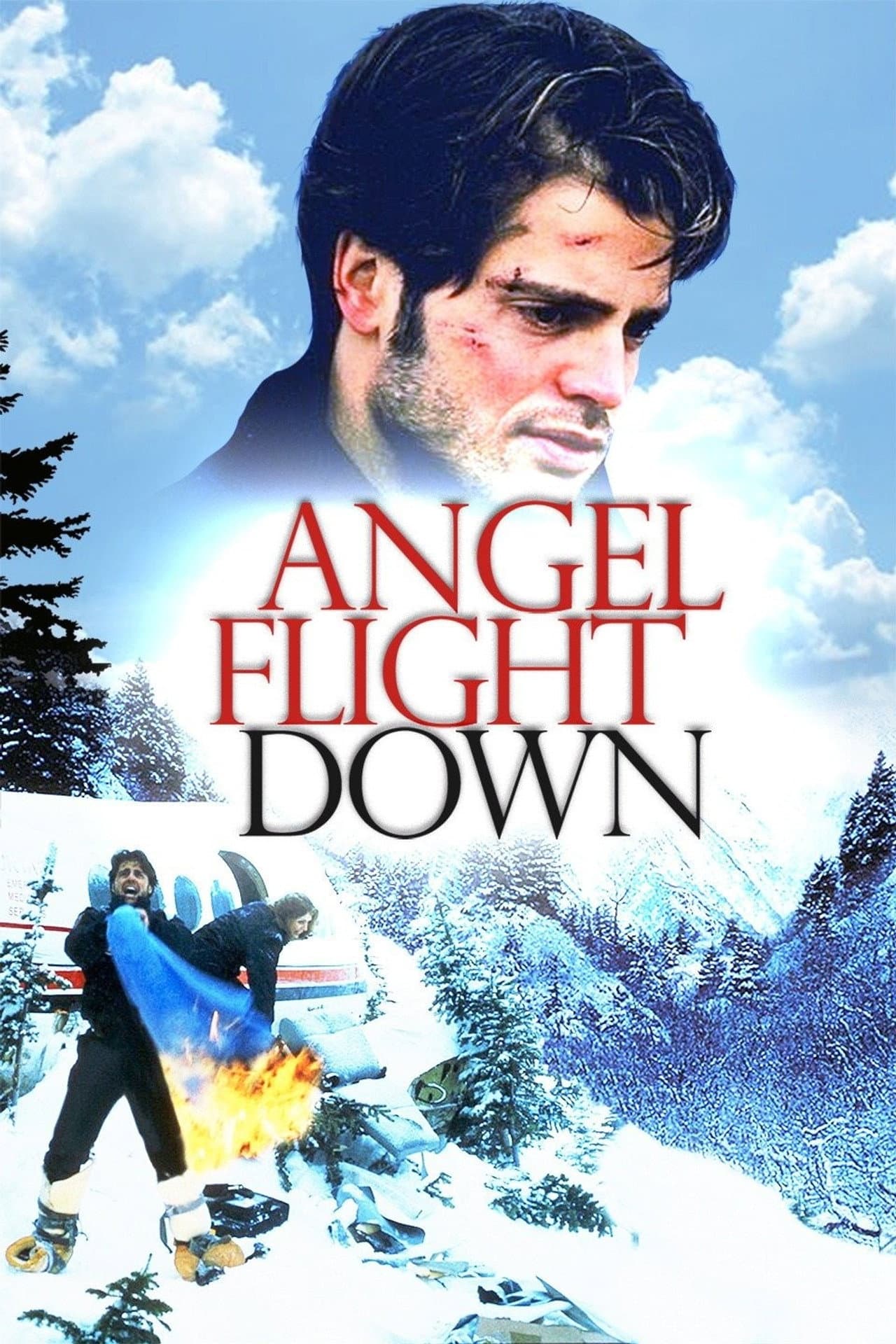 Angel Flight Down preview 2