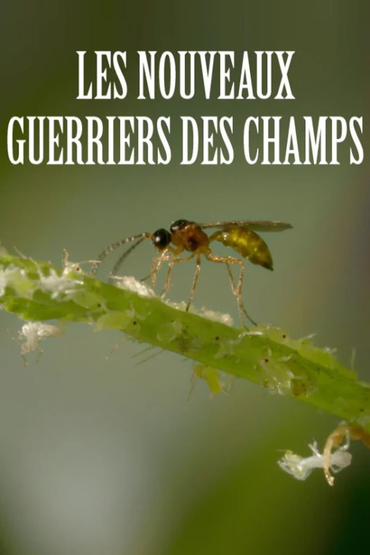 Les nouveaux guerriers des champs preview 2