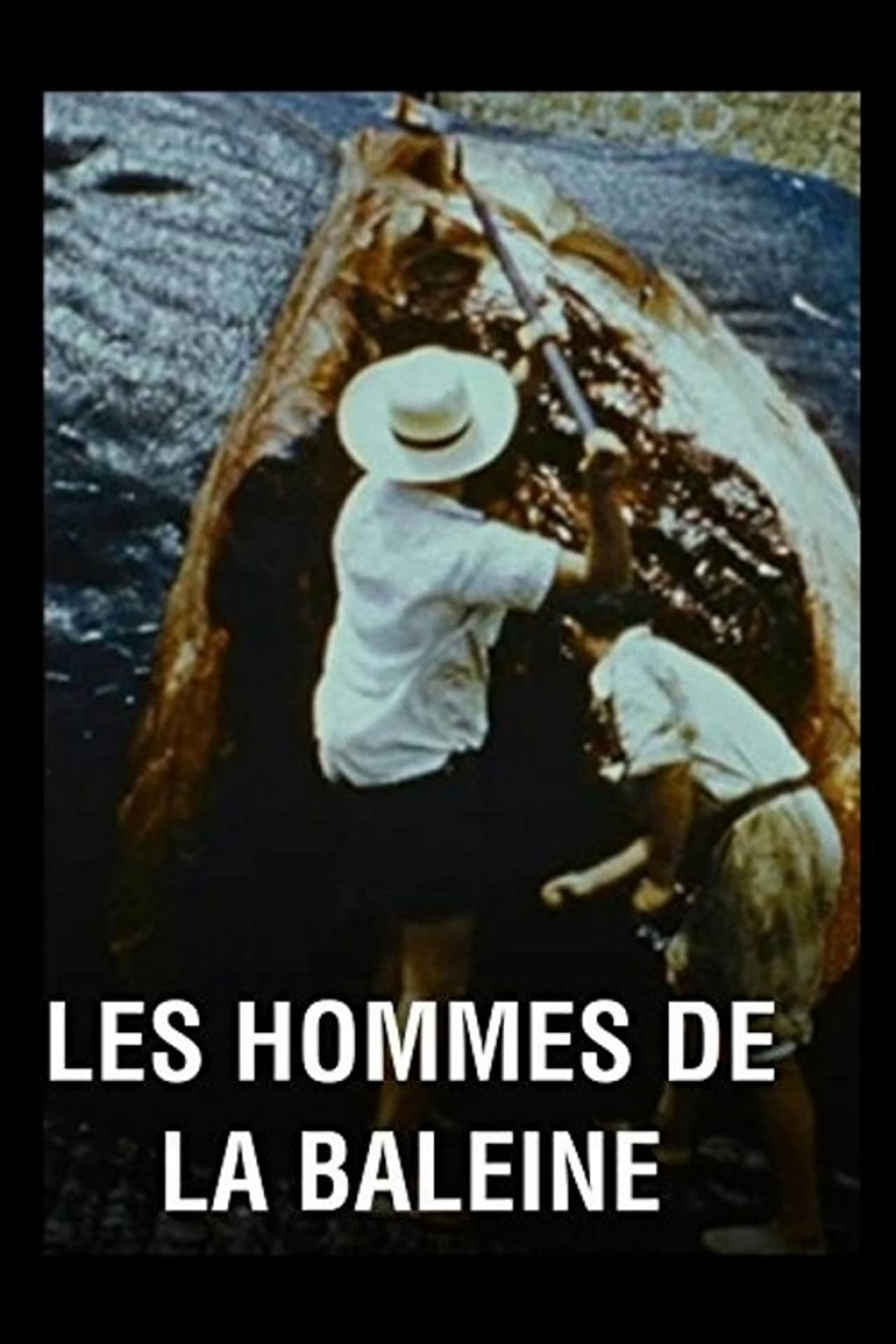 Les hommes de la baleine preview 1