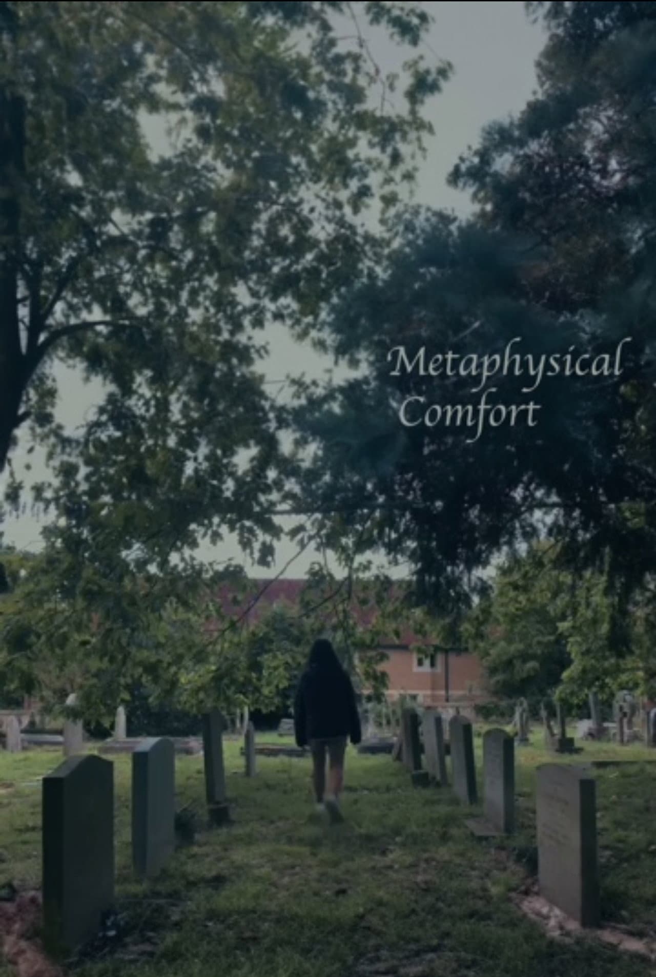 Metaphysical Comfort preview 2