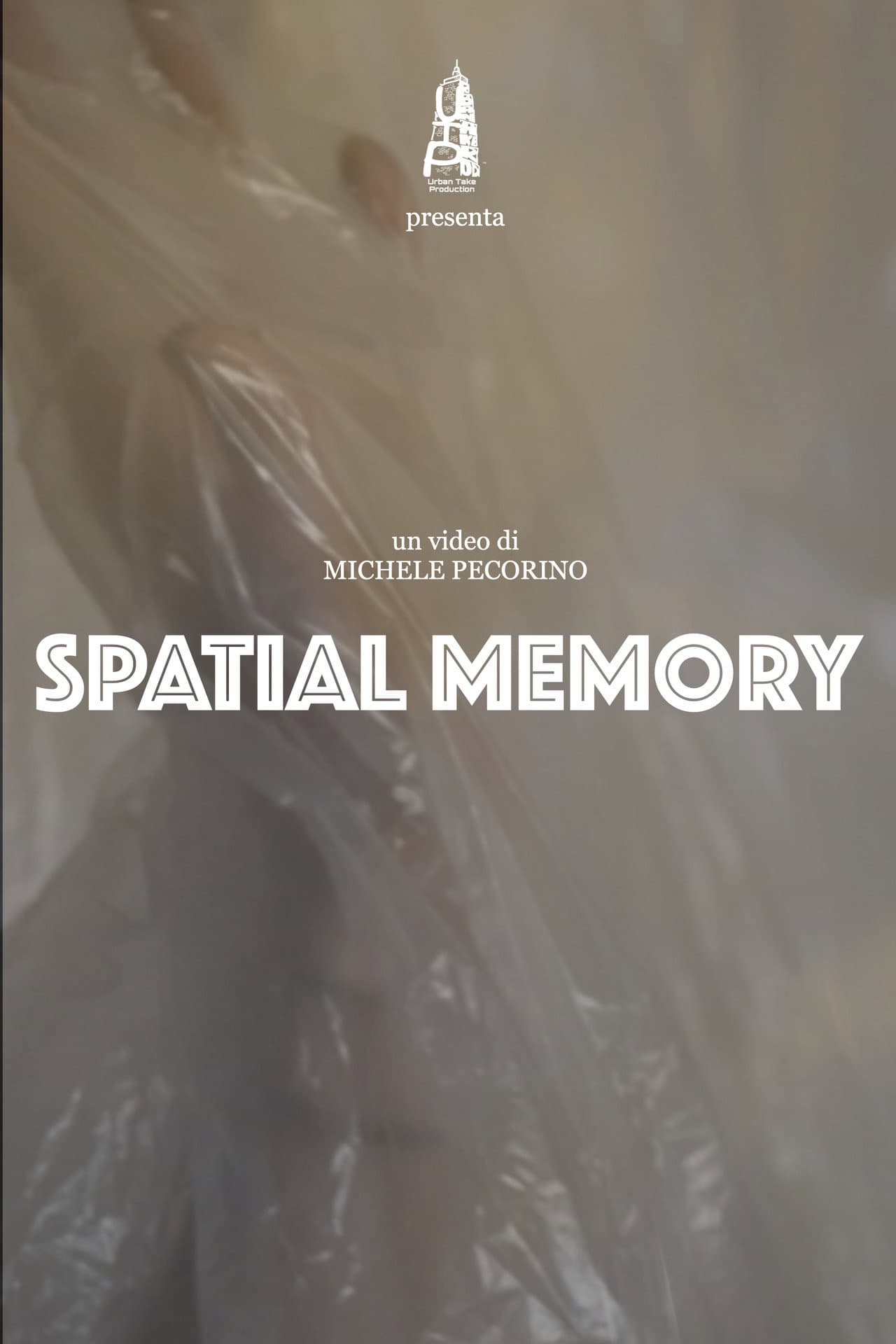 Spatial Memory preview 2