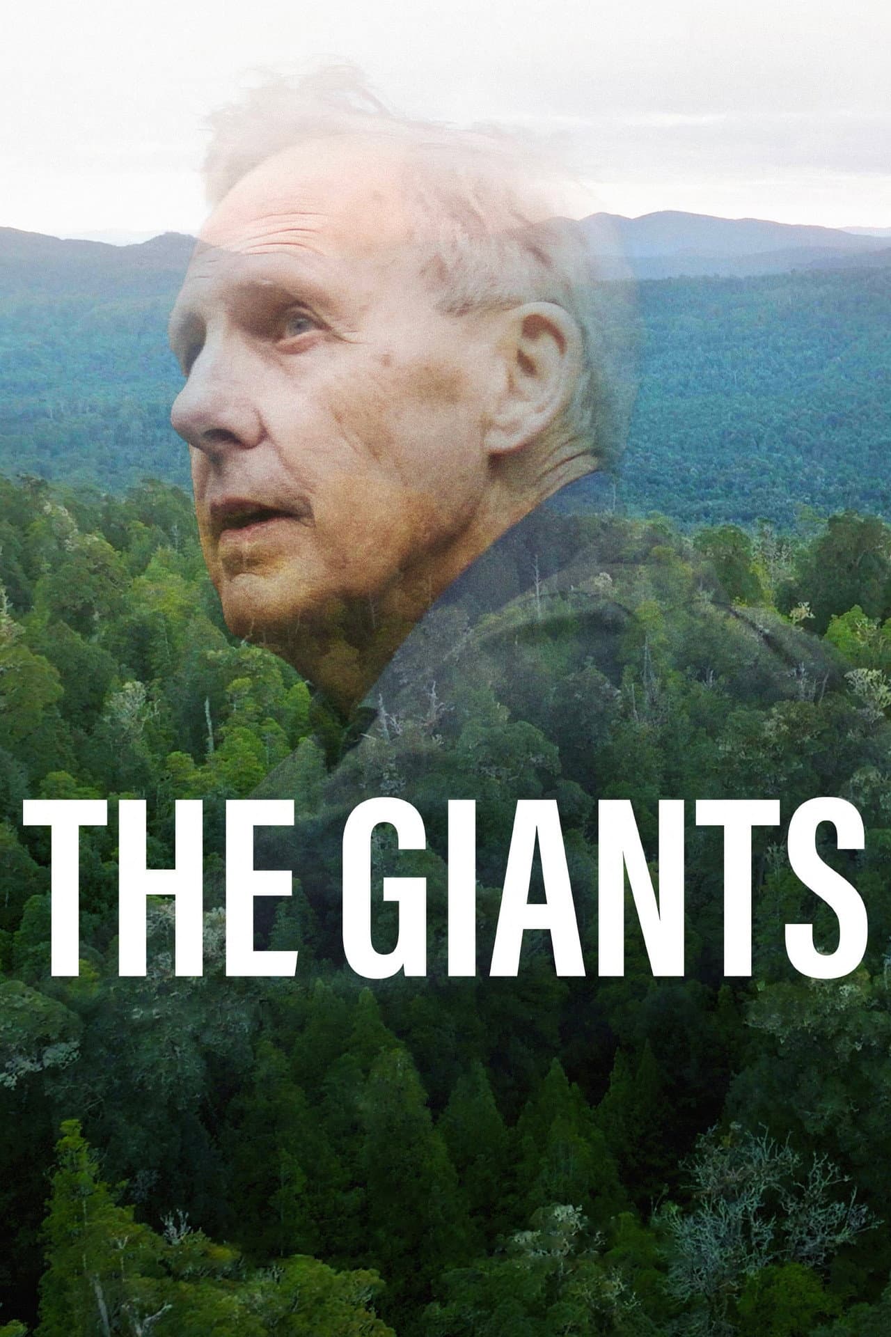 The Giants preview 2