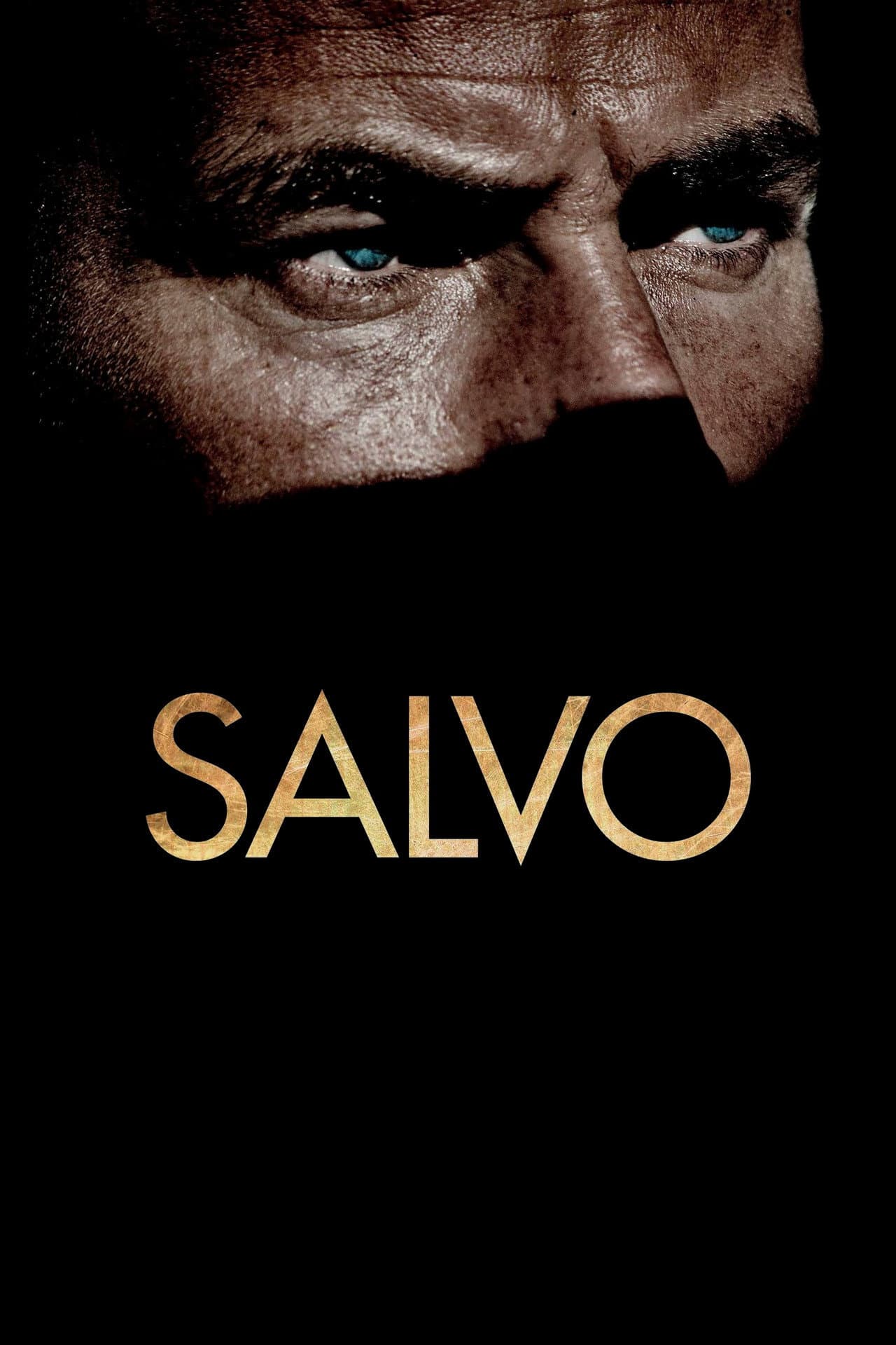 Salvo preview 2