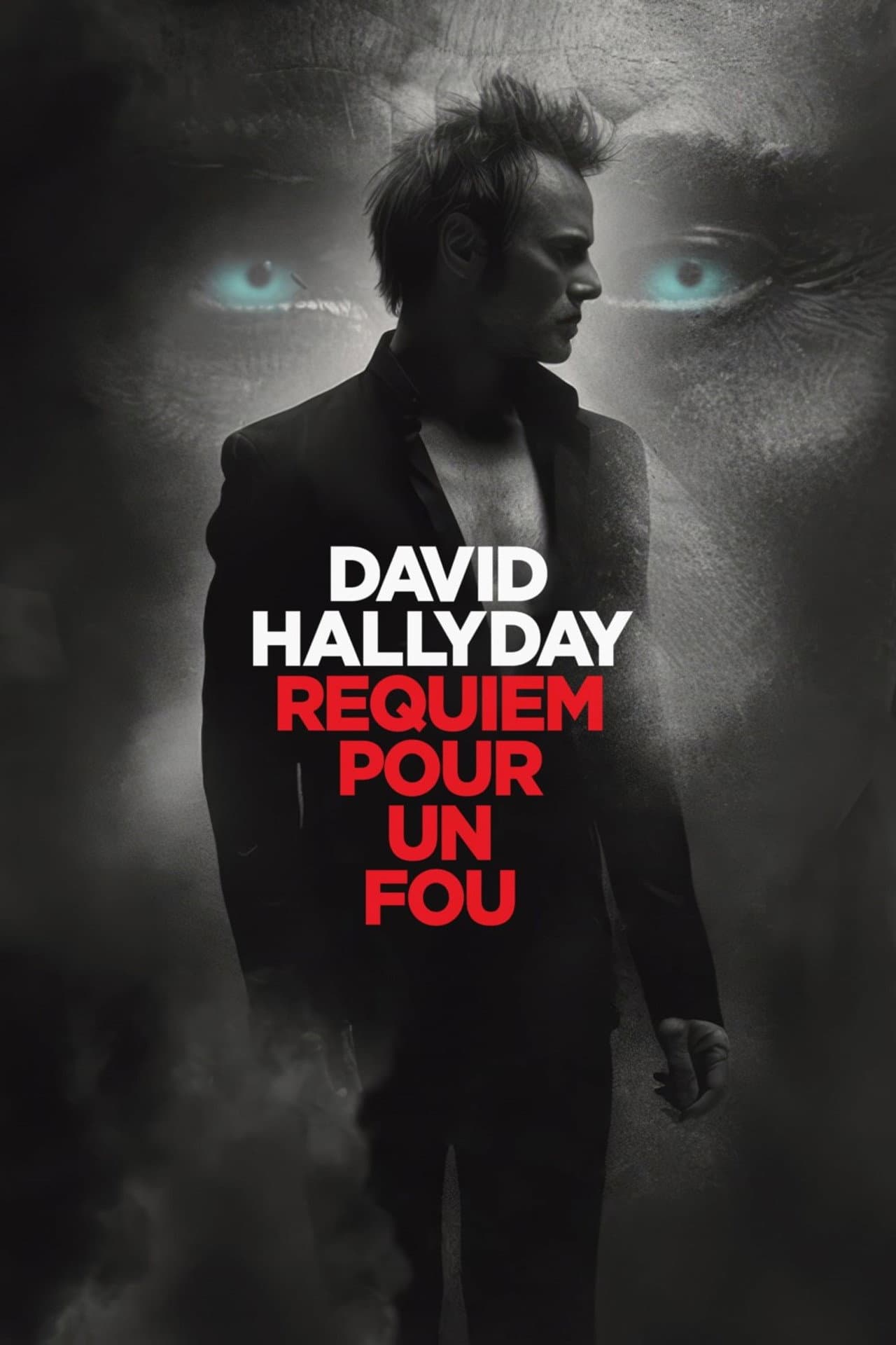 David Hallyday, requiem pour un fou preview 1