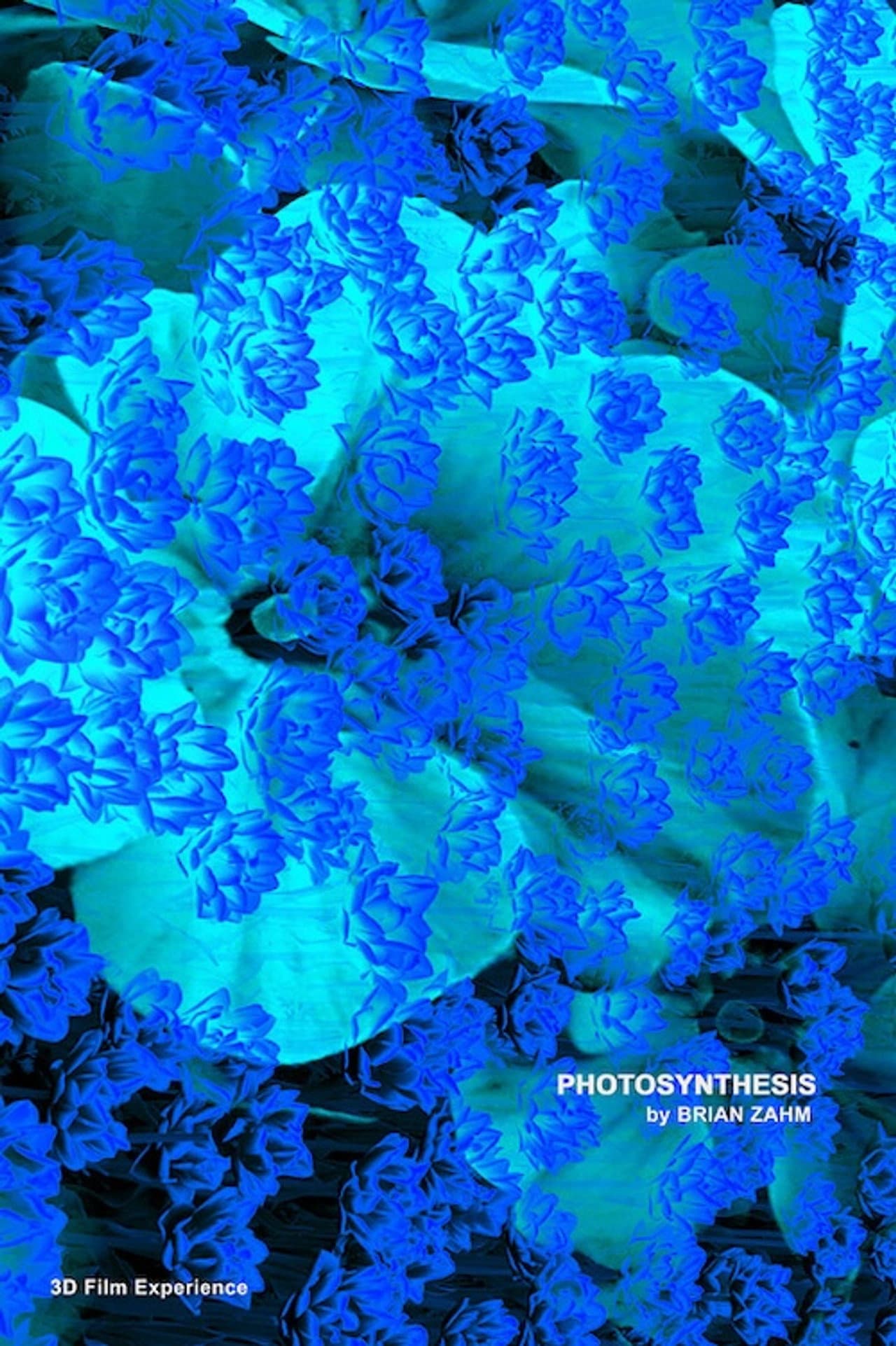 Photosynthesis preview 2