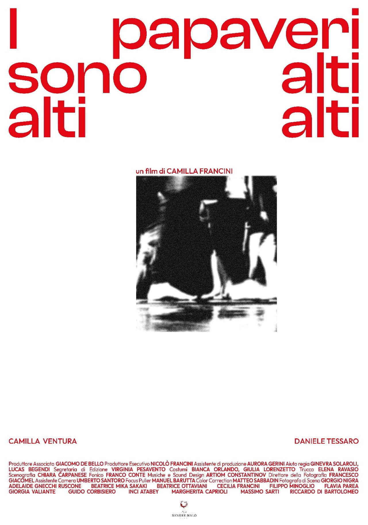 I Papaveri Sono Alti Alti Alti preview 2