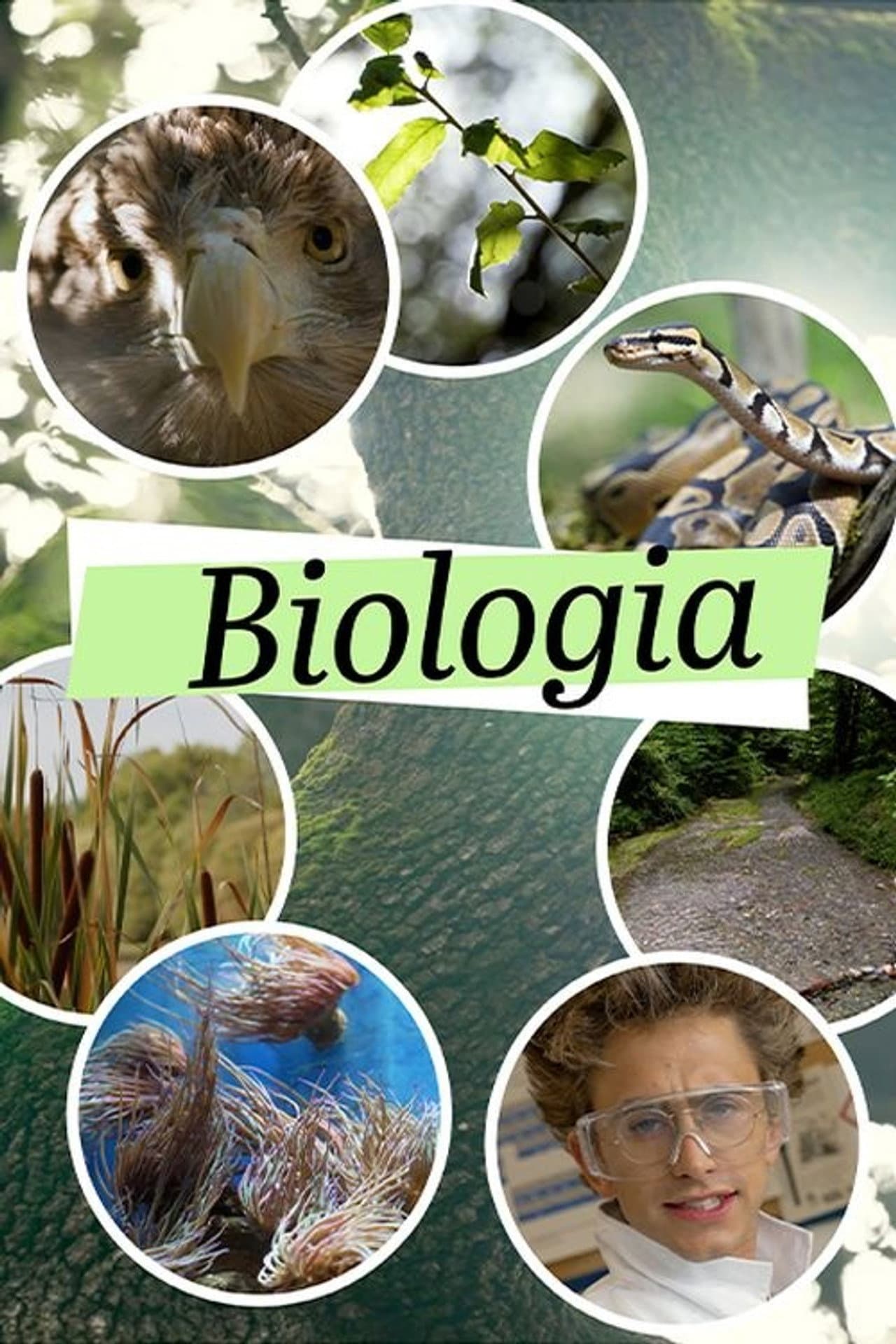 Biologia preview 1