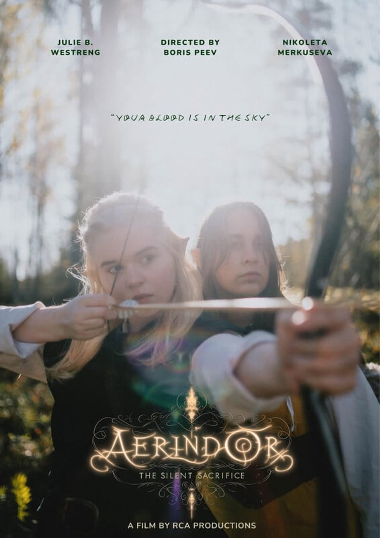 Aerindor: The silent sacrifice preview 2