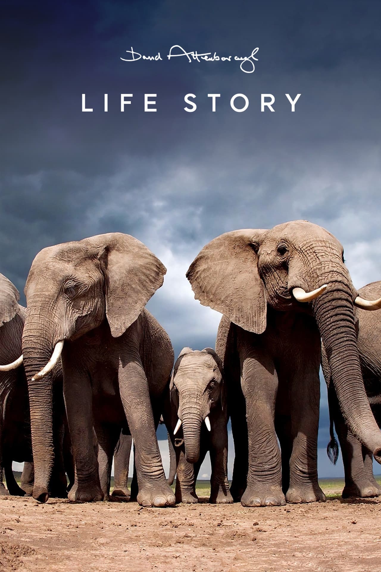 Life Story preview 2