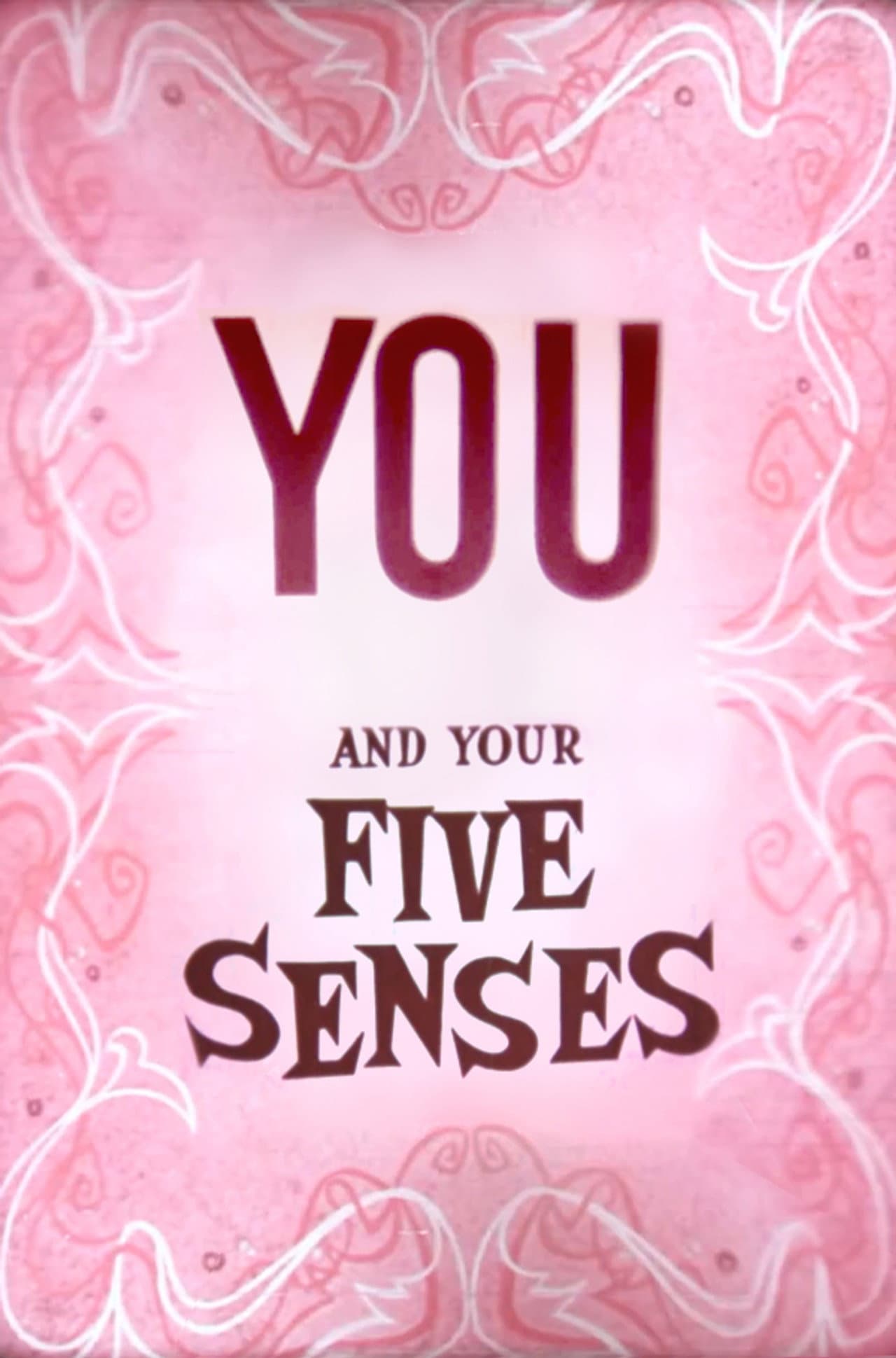 You and Your Five Senses preview 1