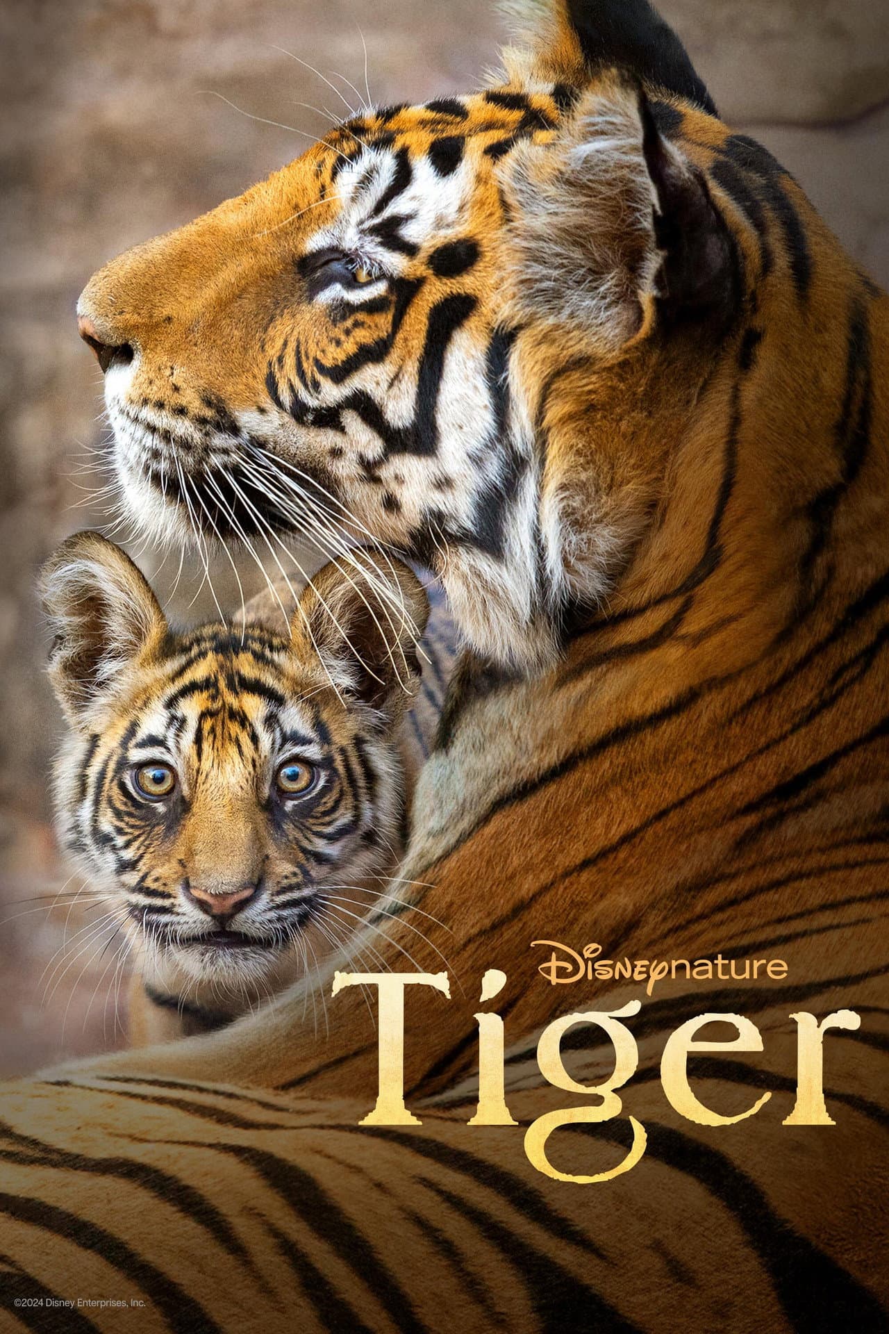 Tiger preview 2