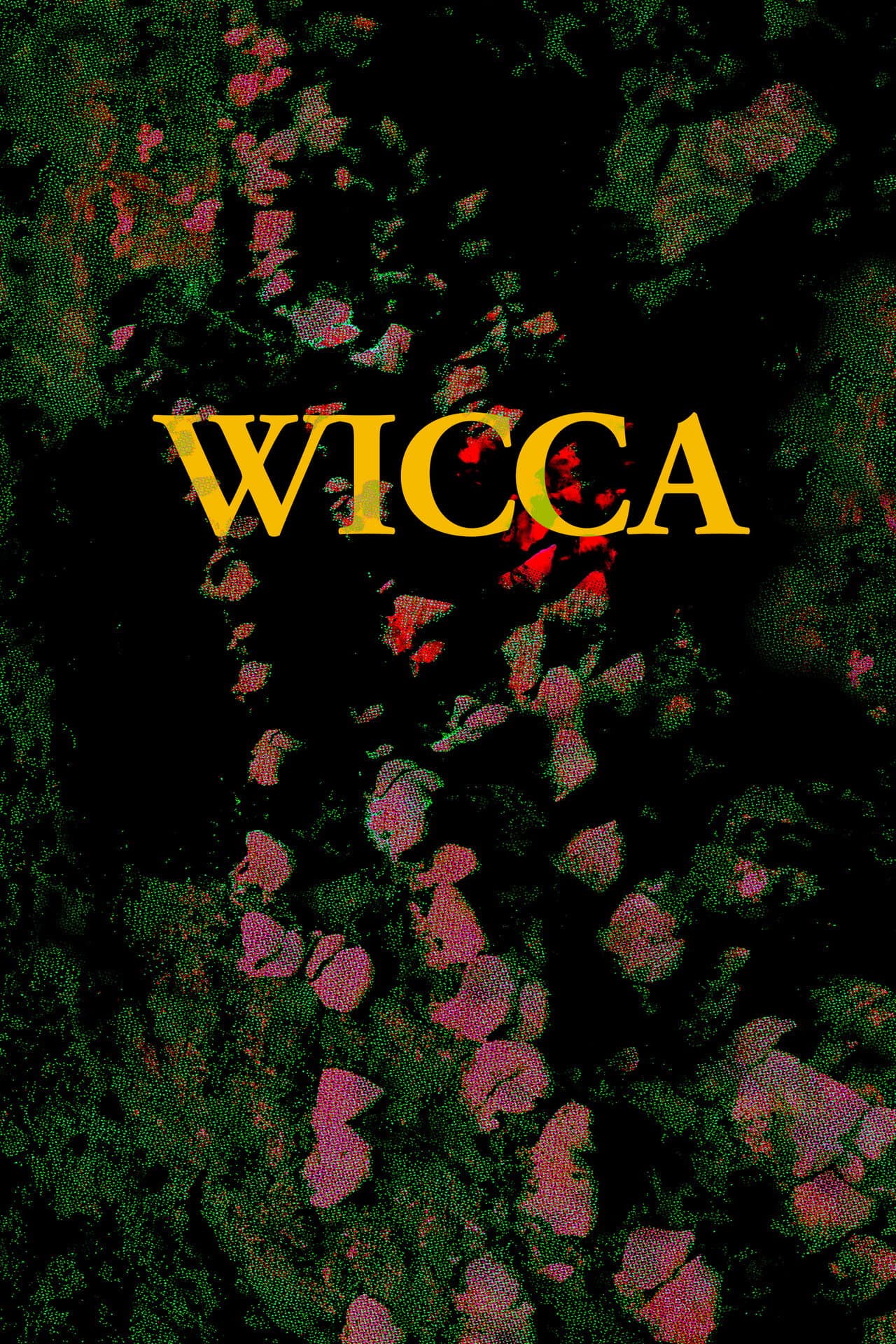 WICCA preview 1