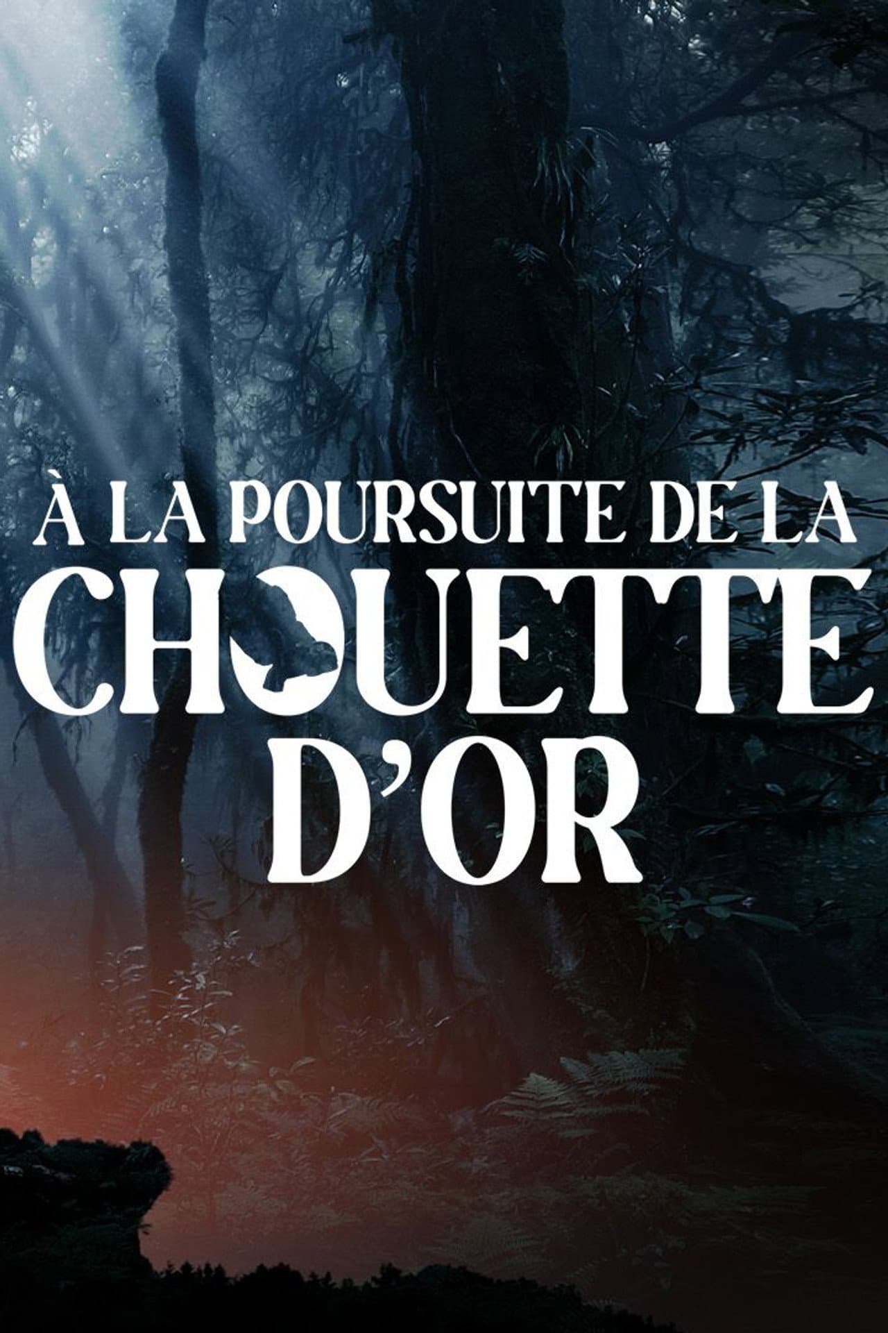 A la poursuite de la chouette d'or preview 2