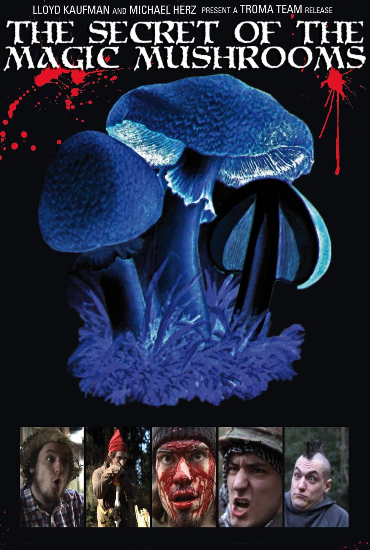 The Secret of the Magic Mushrooms preview 1