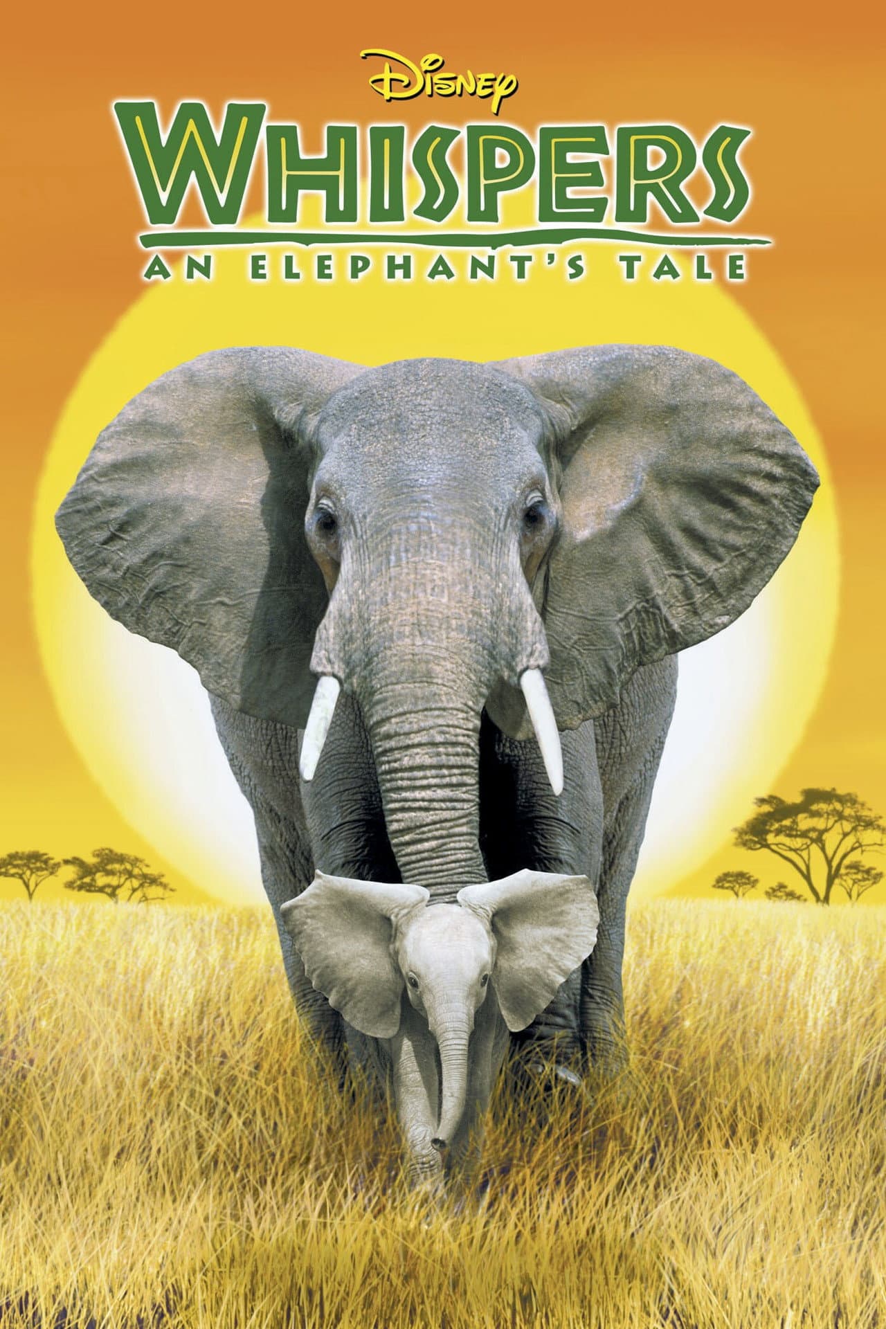 Whispers: An Elephant's Tale preview 2