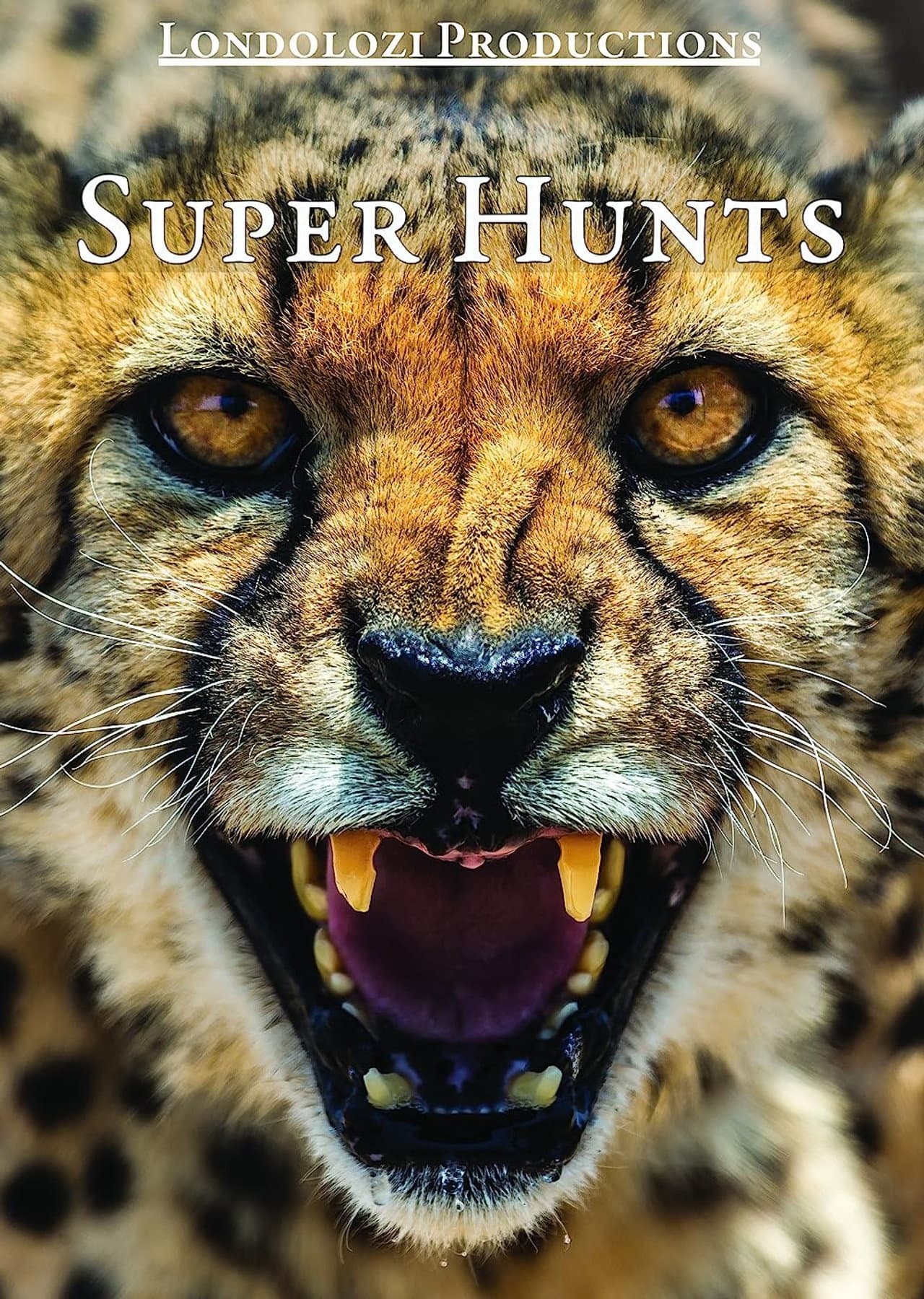 Super Hunts, Super Hunters preview 1
