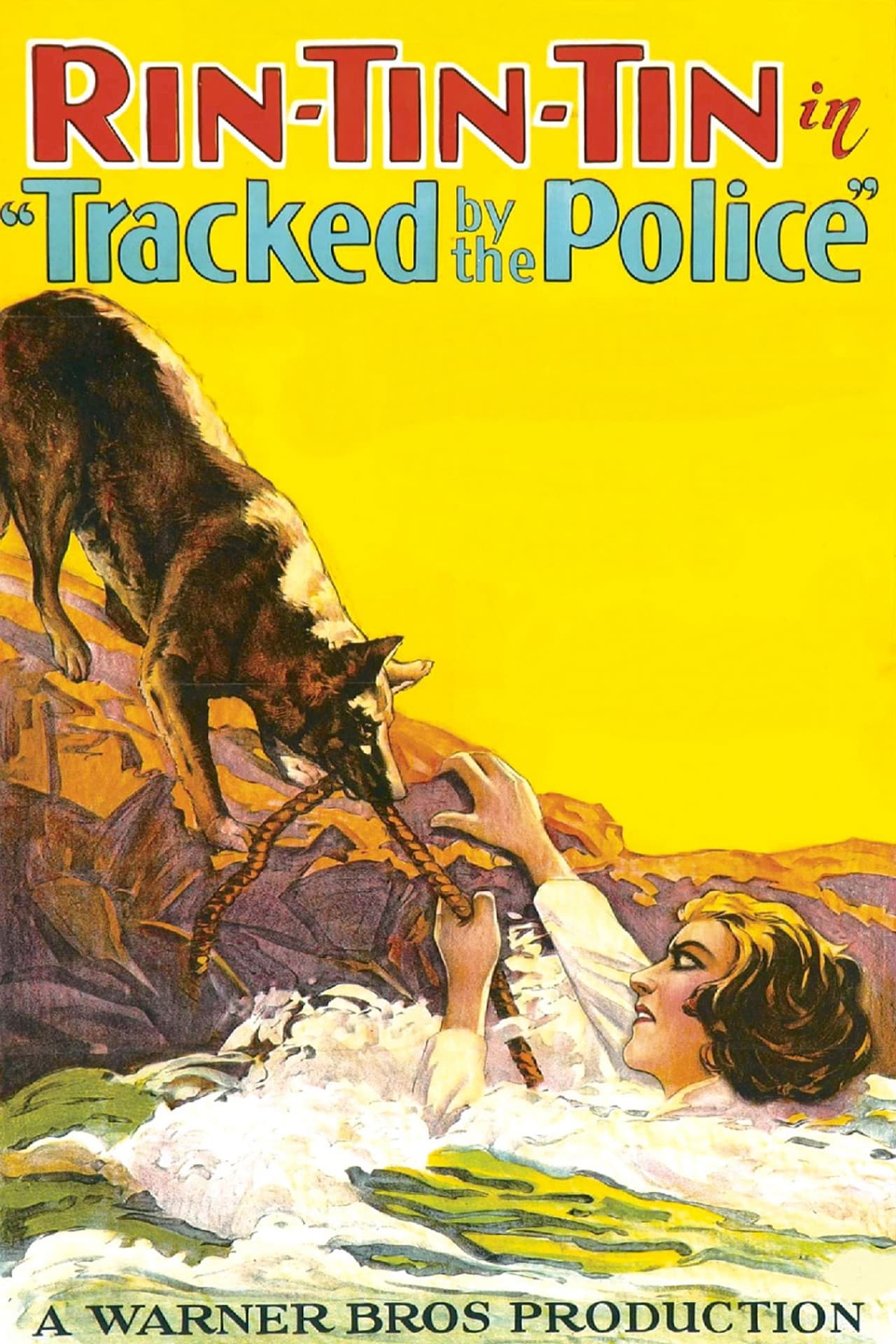 Tracked by the Police preview 2