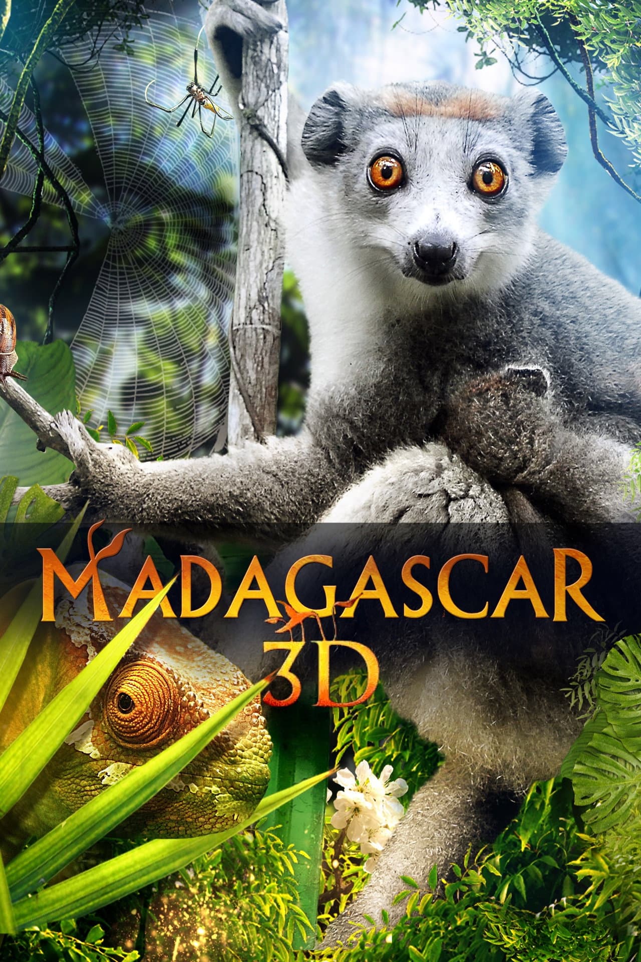 Madagascar 3D preview 2