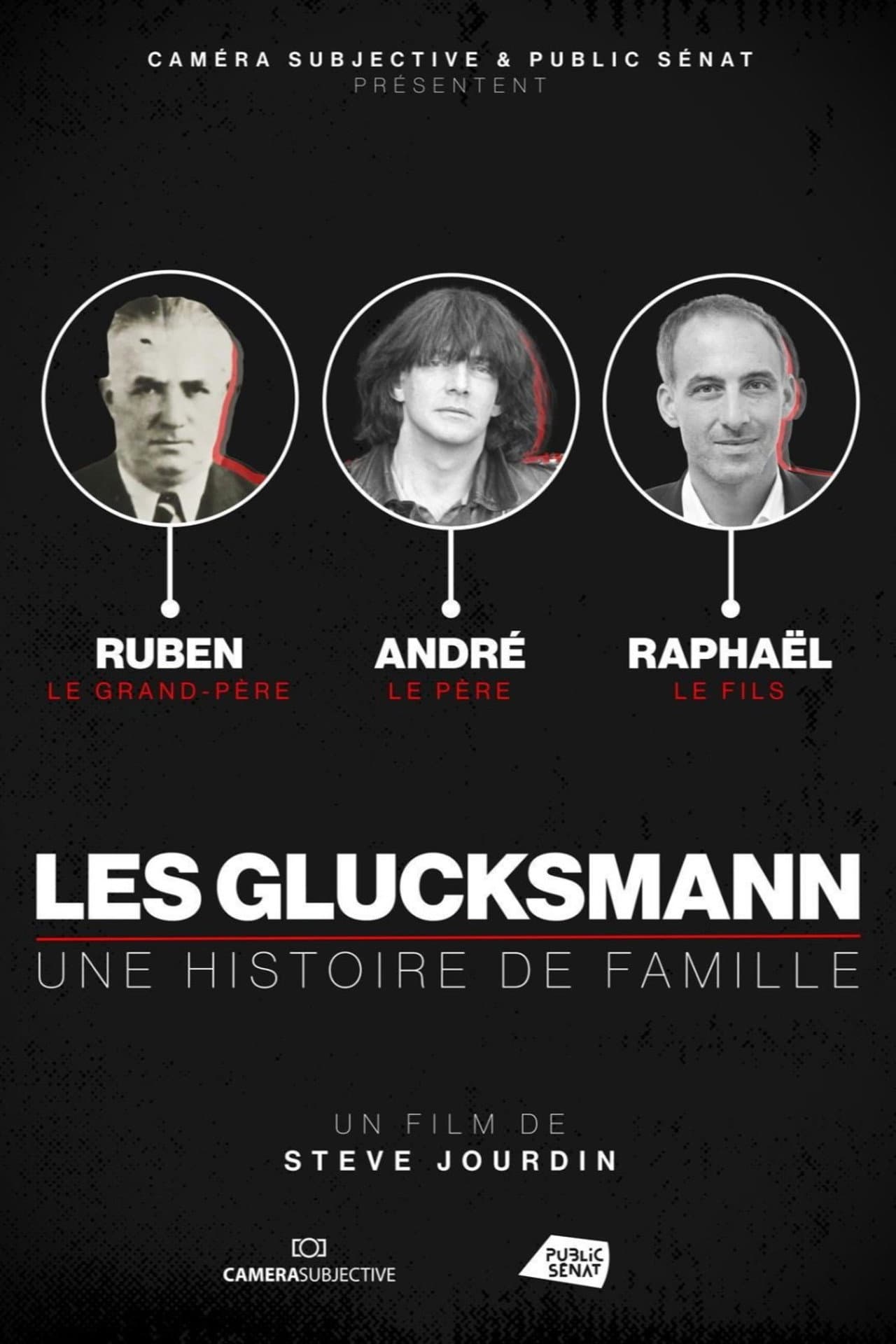Les Glucksmann, une histoire de famille preview 2