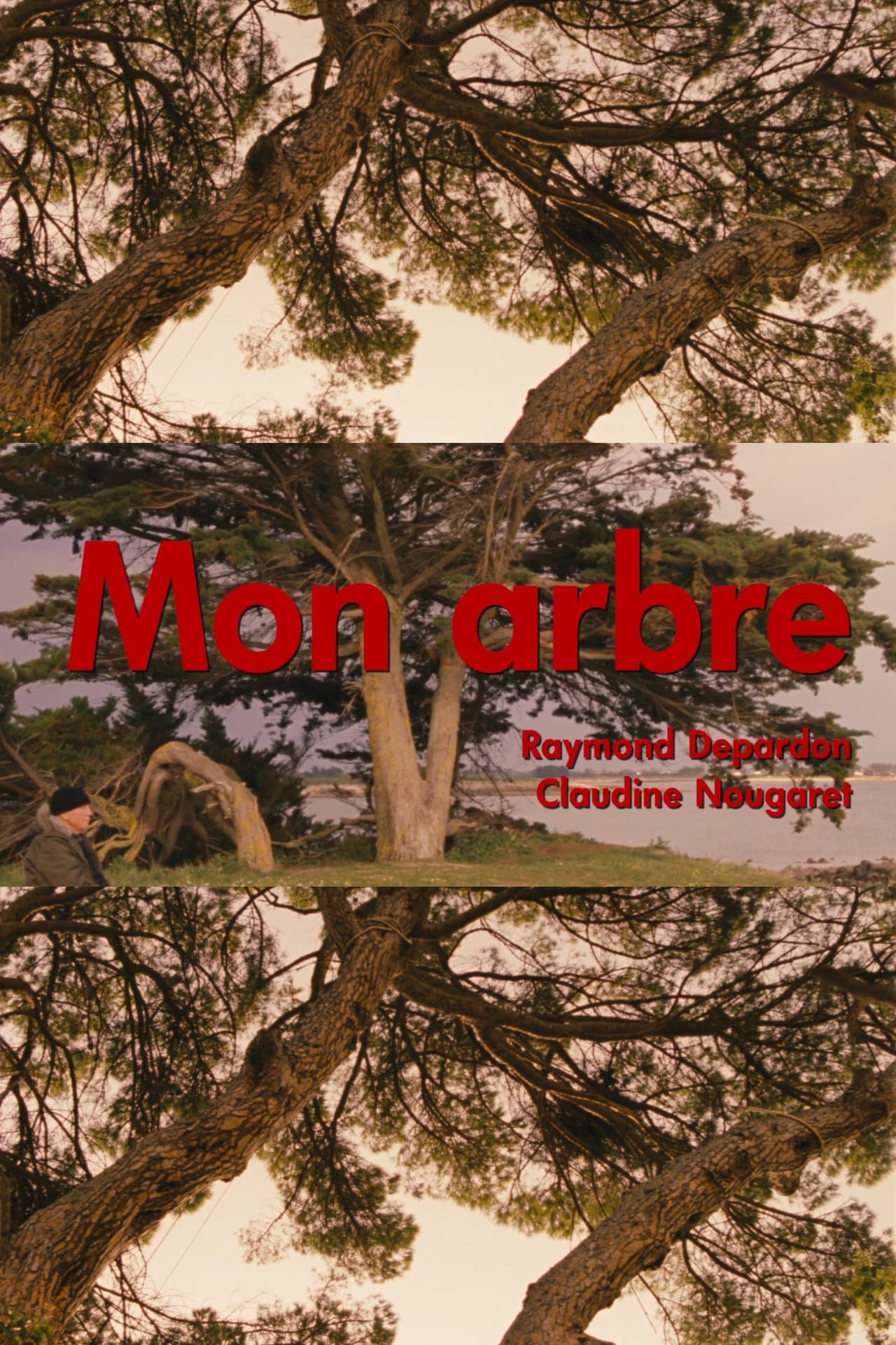 Mon arbre preview 1