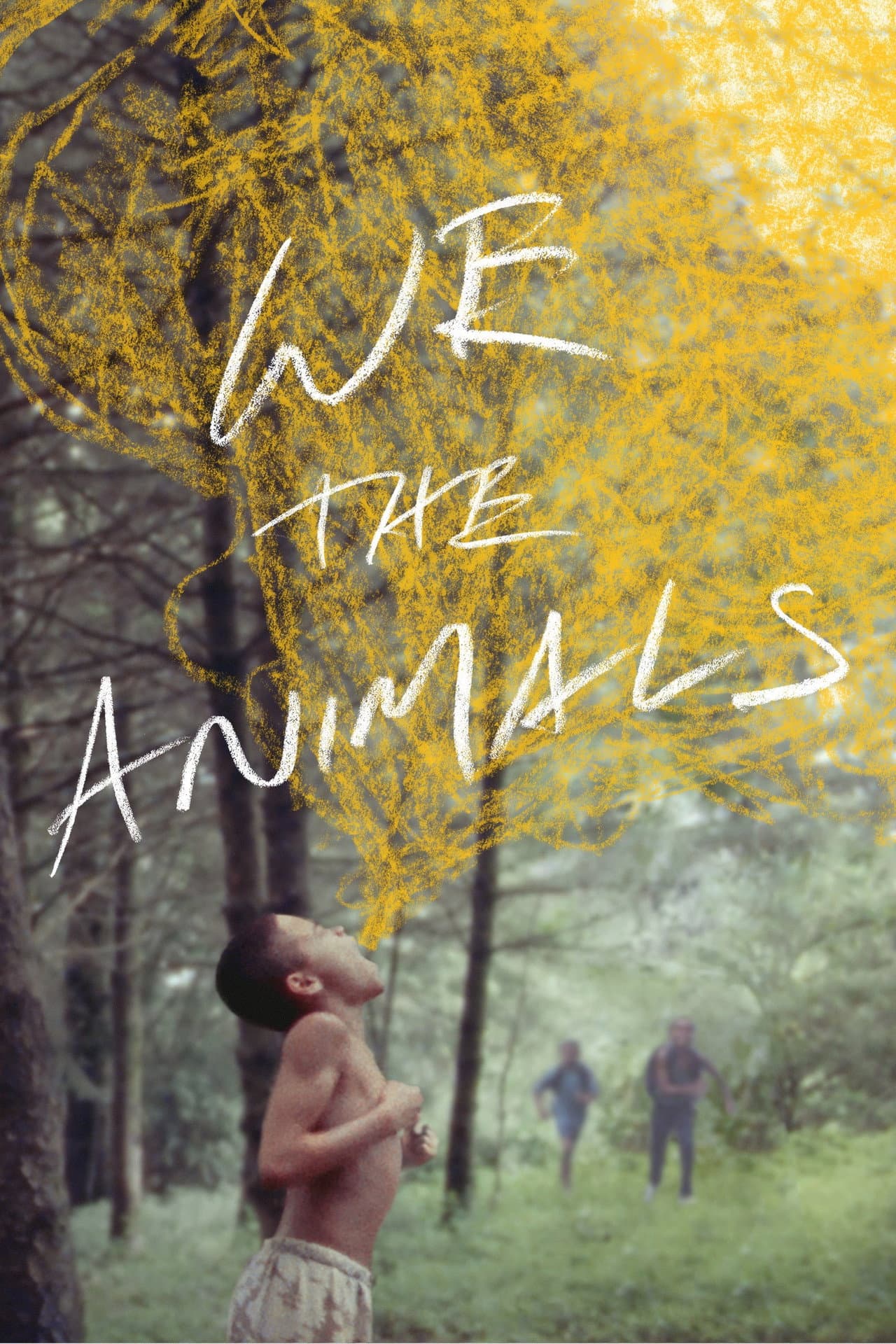 We the Animals preview 2