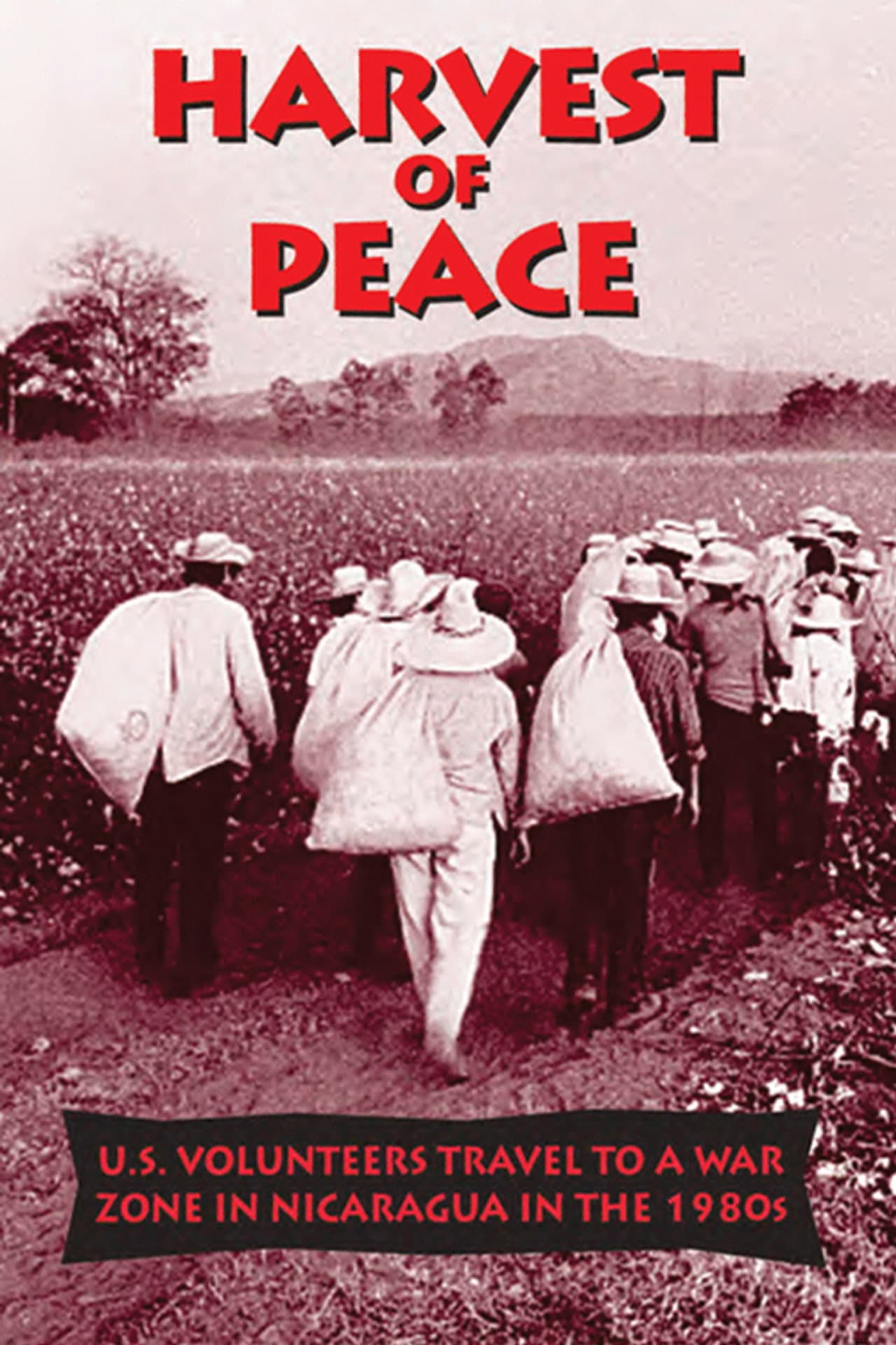 Harvest of Peace preview 1