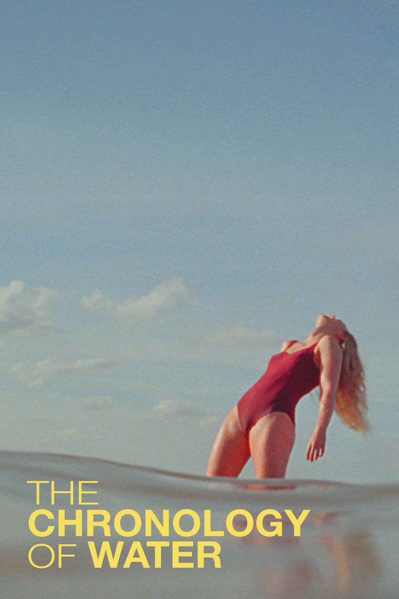 The Chronology of Water preview 2