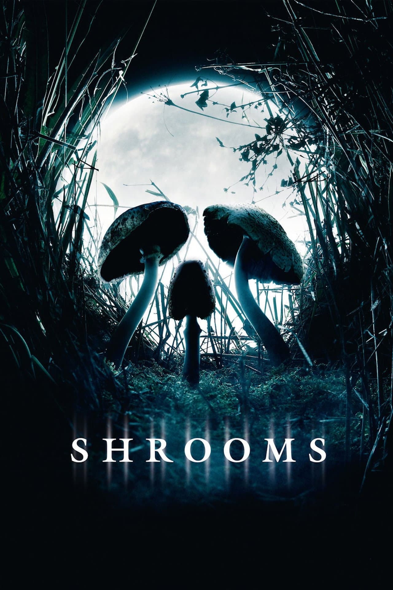 Shrooms preview 2